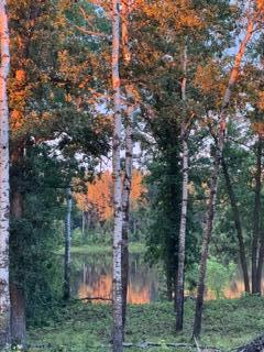 11777 State Highway 11 Se Property Photo 62