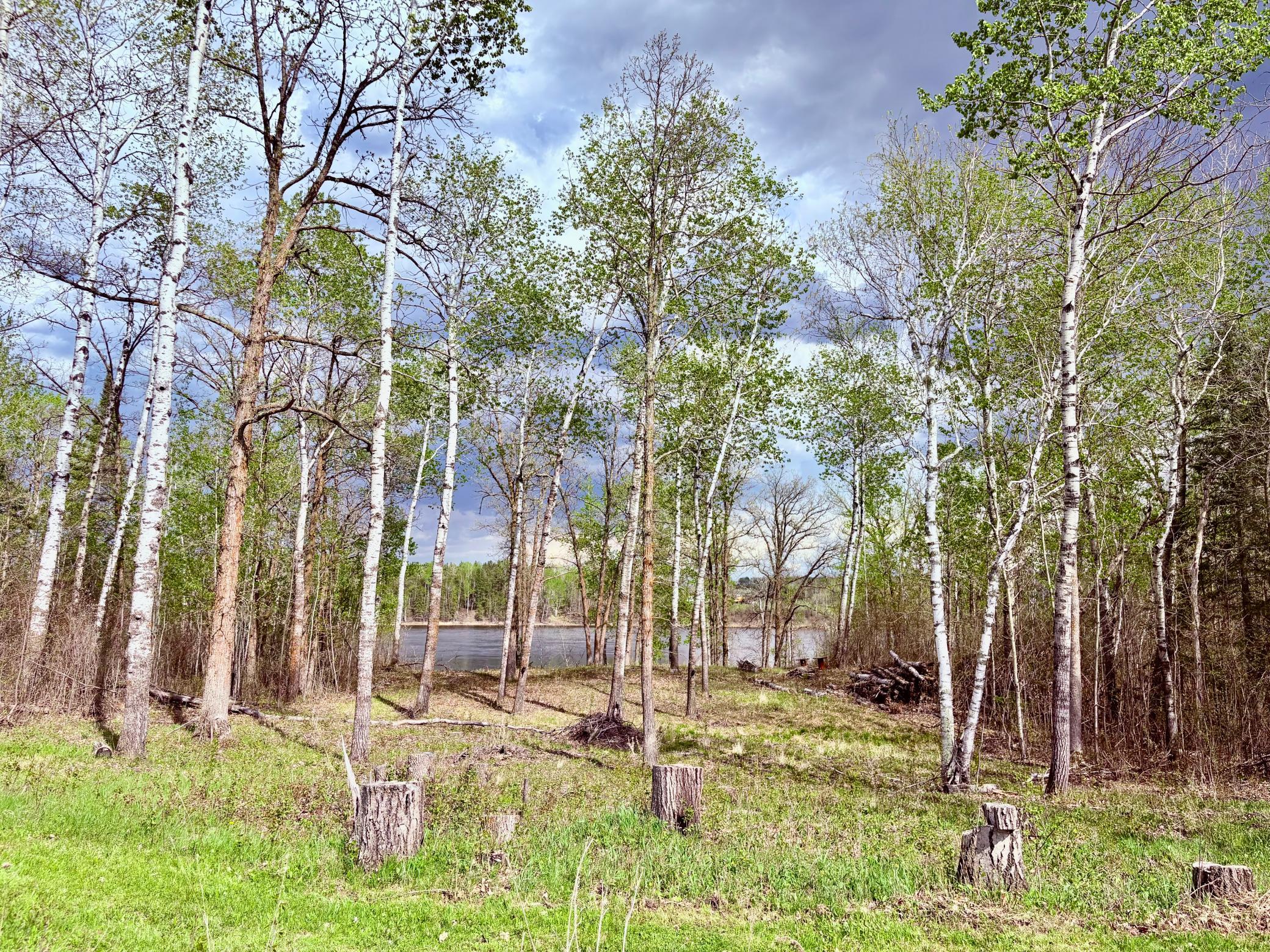 11777 State Highway 11 Se Property Photo 79