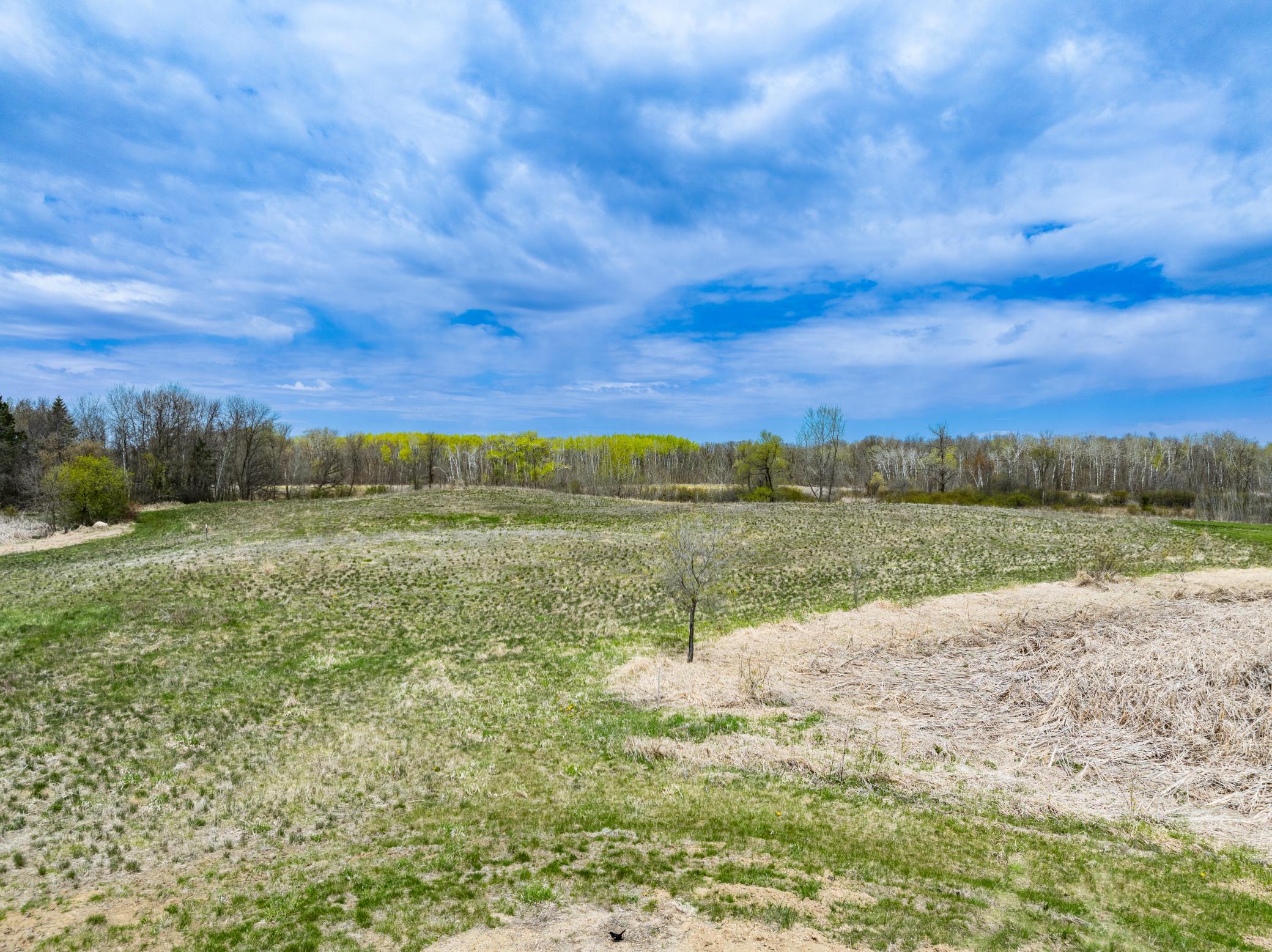 Tbd Buckskin Park Court Ne Property Photo 6