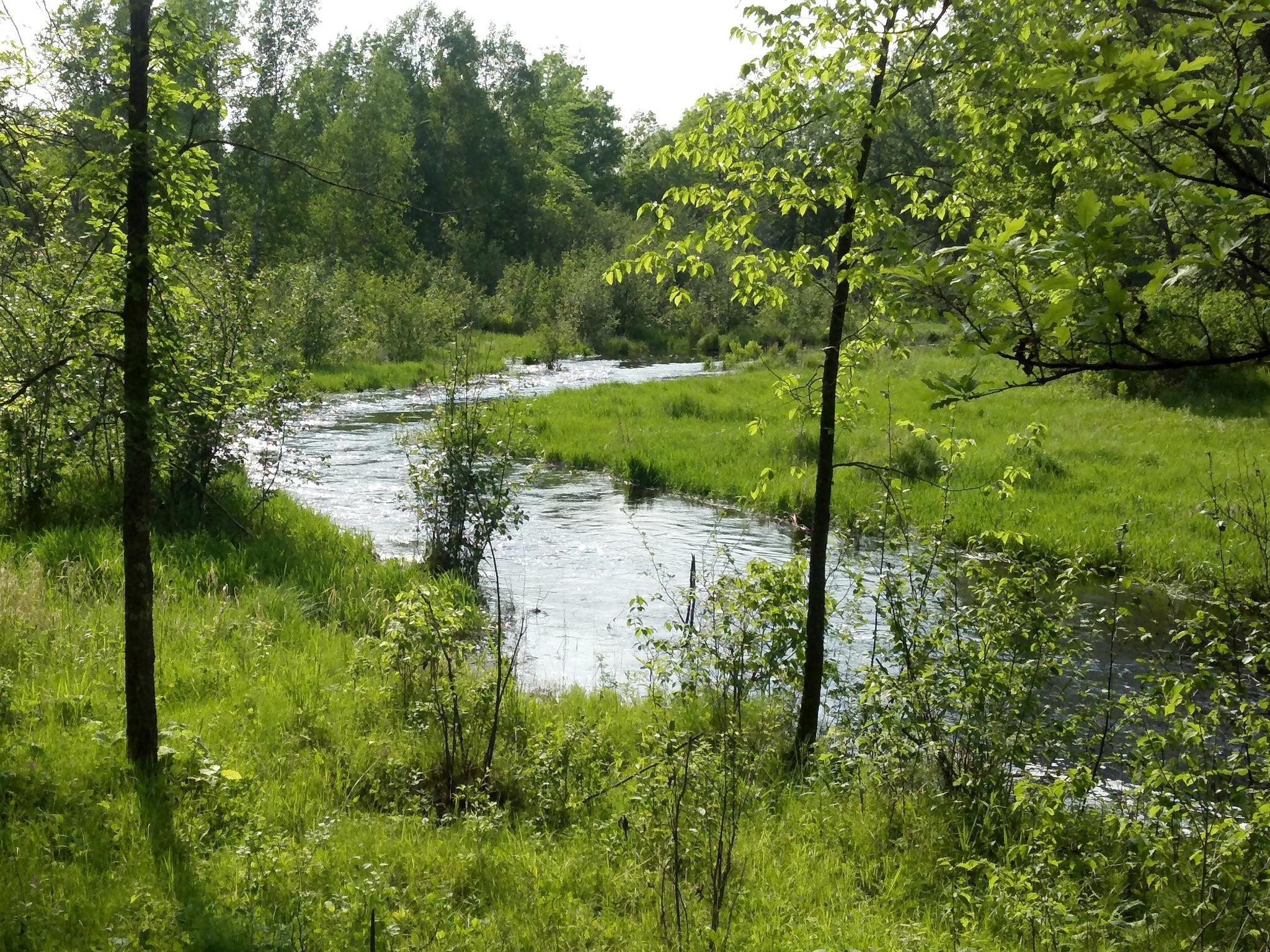 10005 Rice Road Property Photo 1