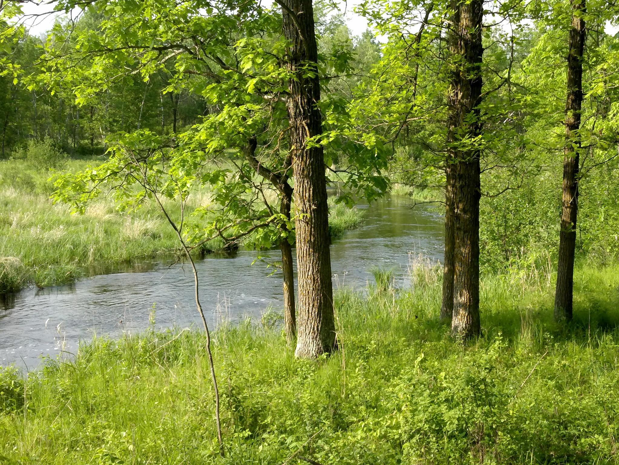10005 Rice Road Property Photo 2