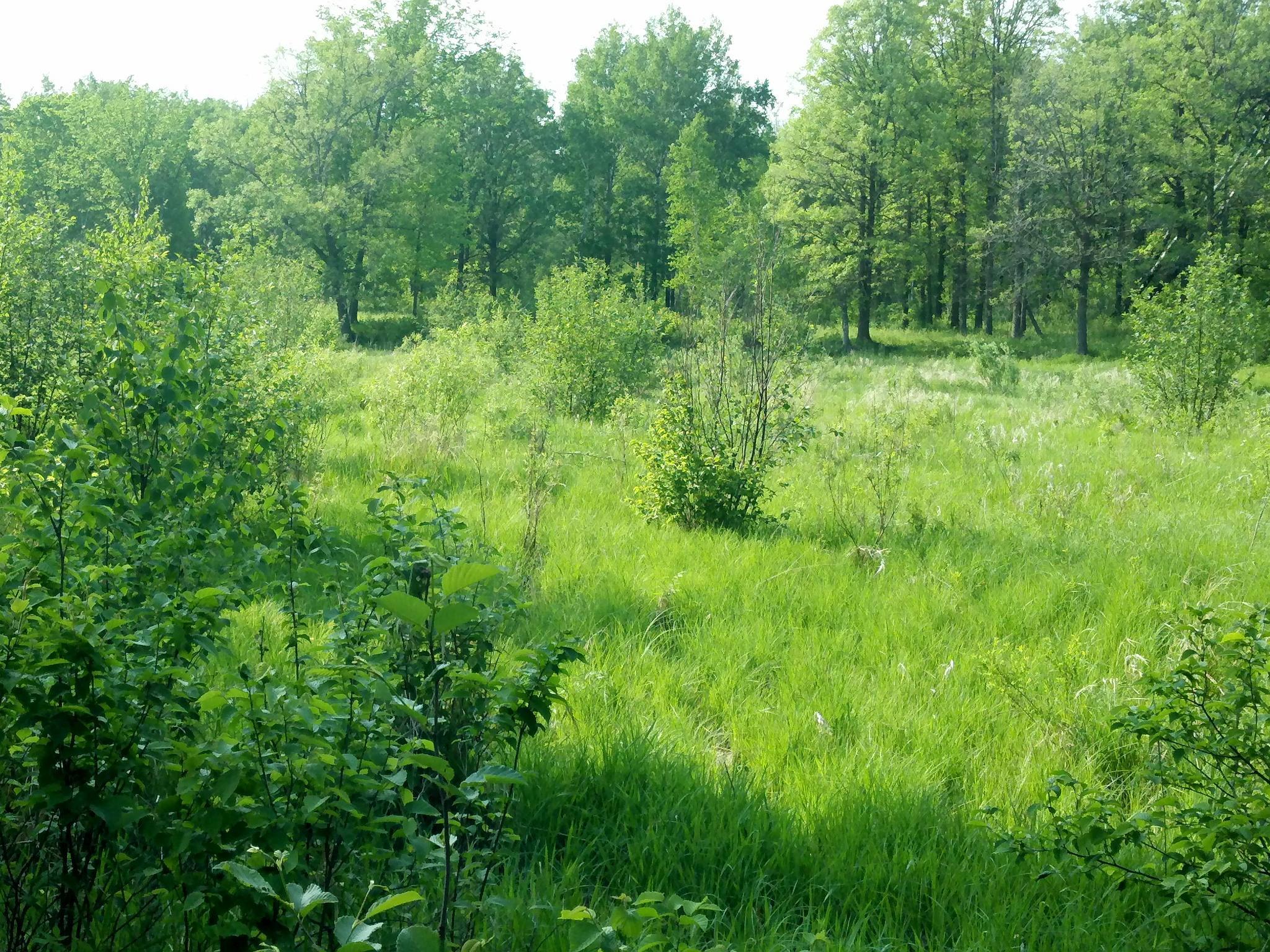 10005 Rice Road Property Photo 3