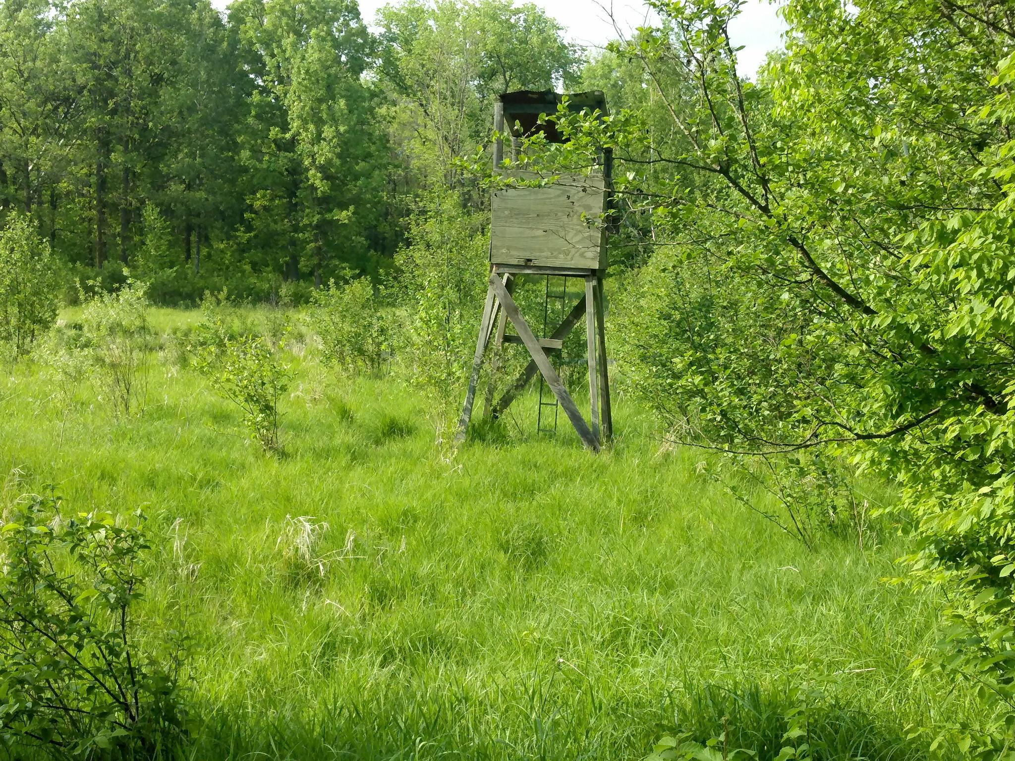 10005 Rice Road Property Photo 4