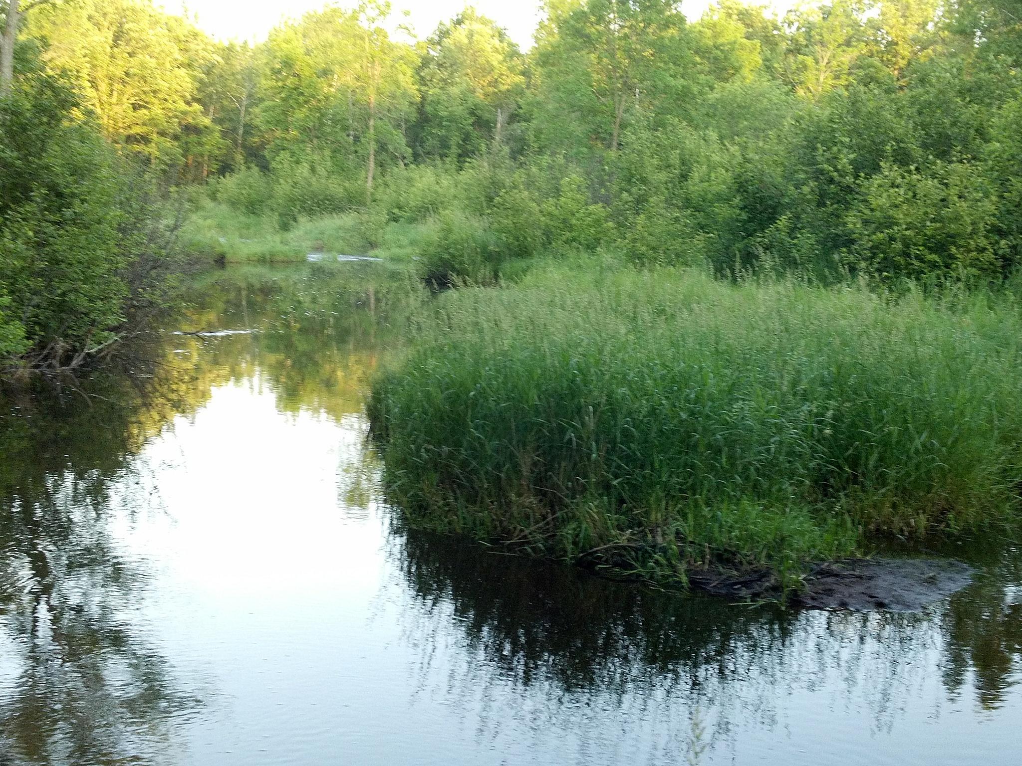 10005 Rice Road Property Photo 5