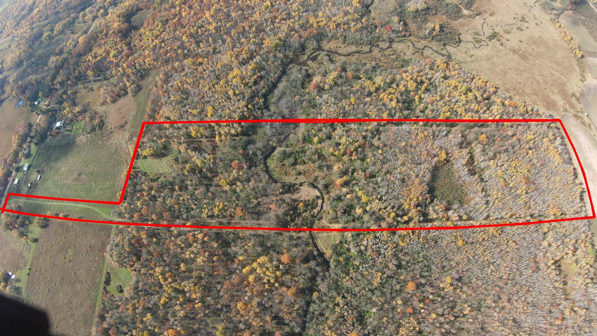 10005 Rice Road Property Photo 6