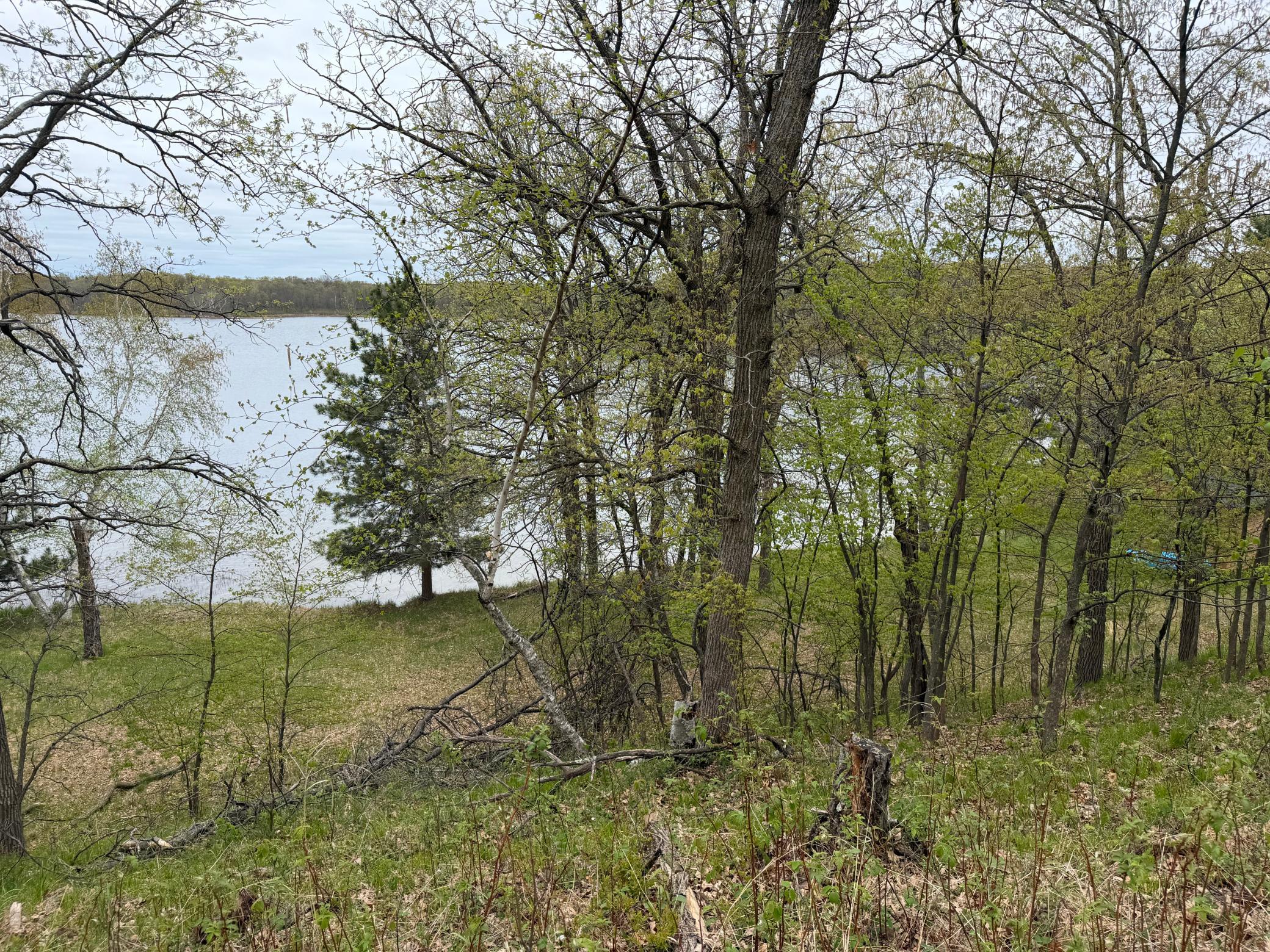 9235 Ossawinnamakee Road Property Photo 7