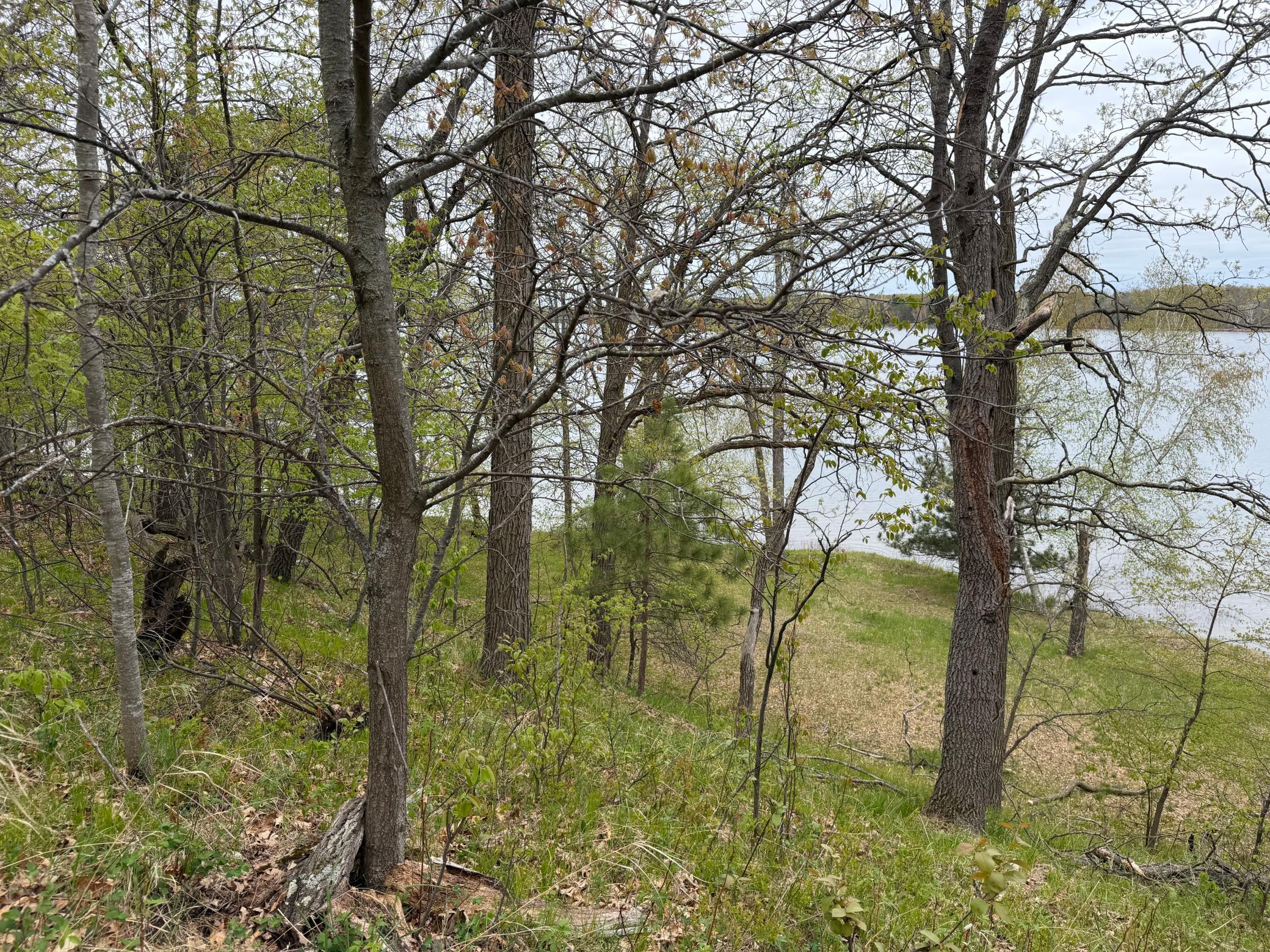 9235 Ossawinnamakee Road Property Photo 8