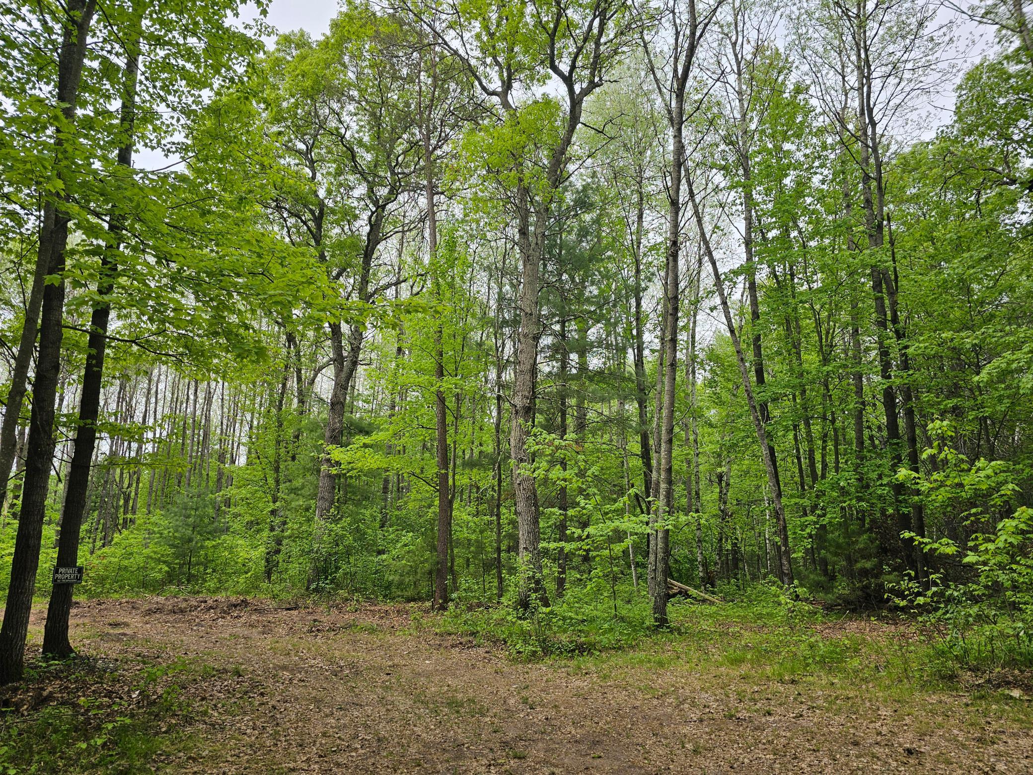 25227 Kruger Road Property Photo 7