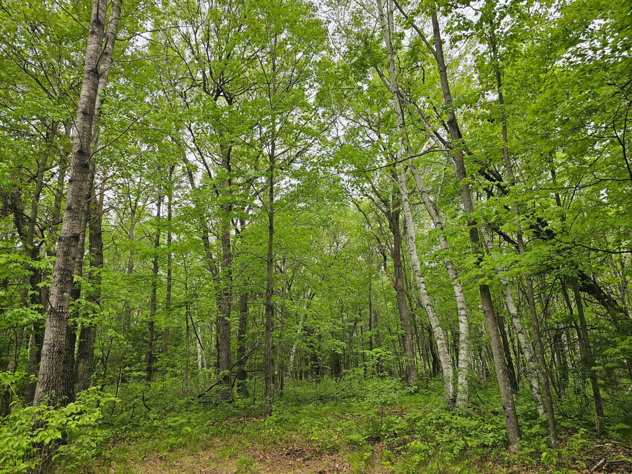 25227 Kruger Road Property Photo 8