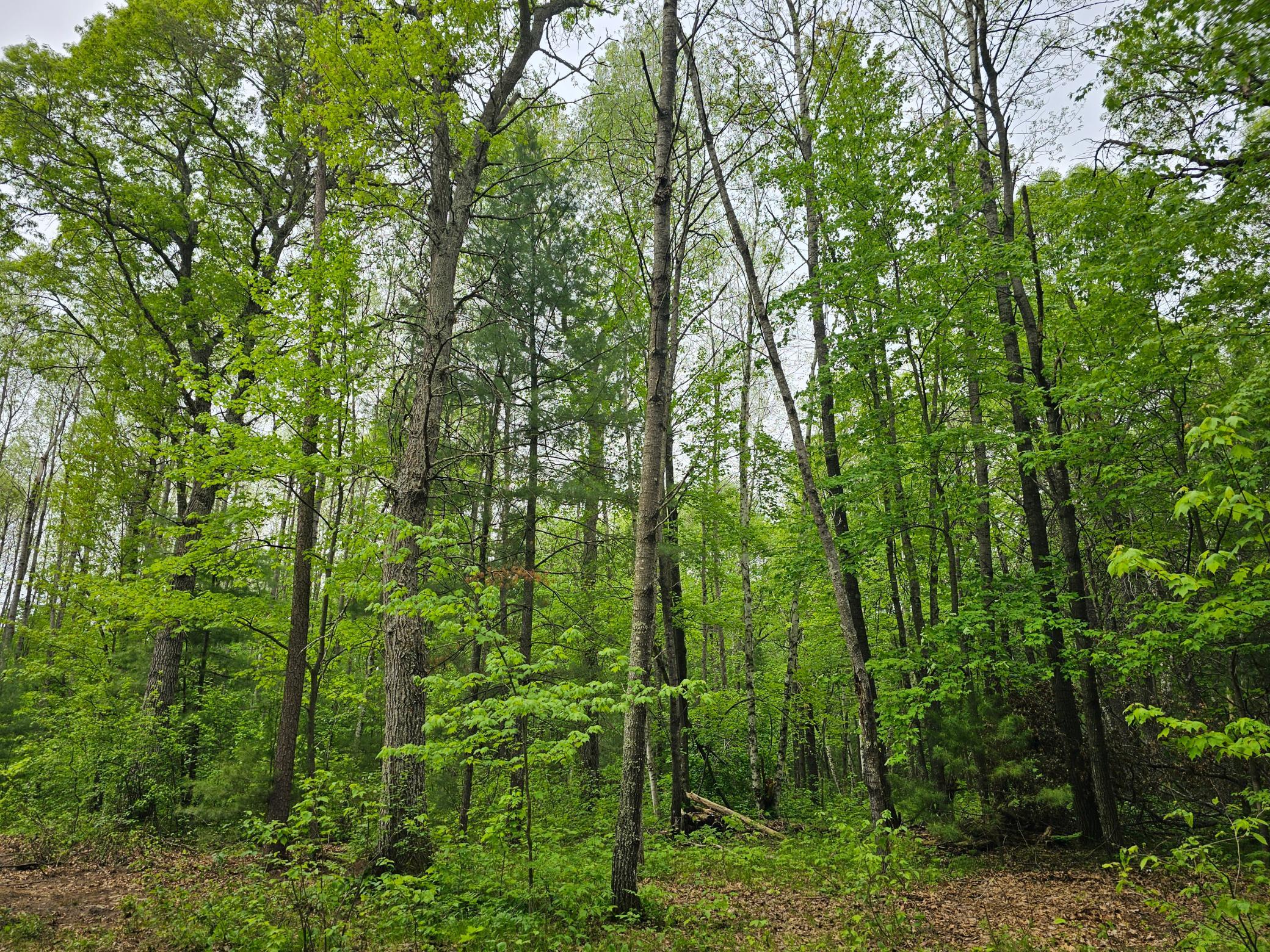 25227 Kruger Road Property Photo 9