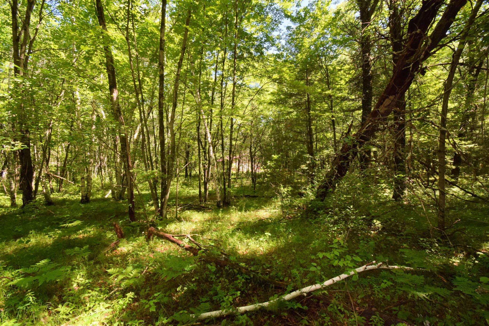 25227 Kruger Road Property Photo 10
