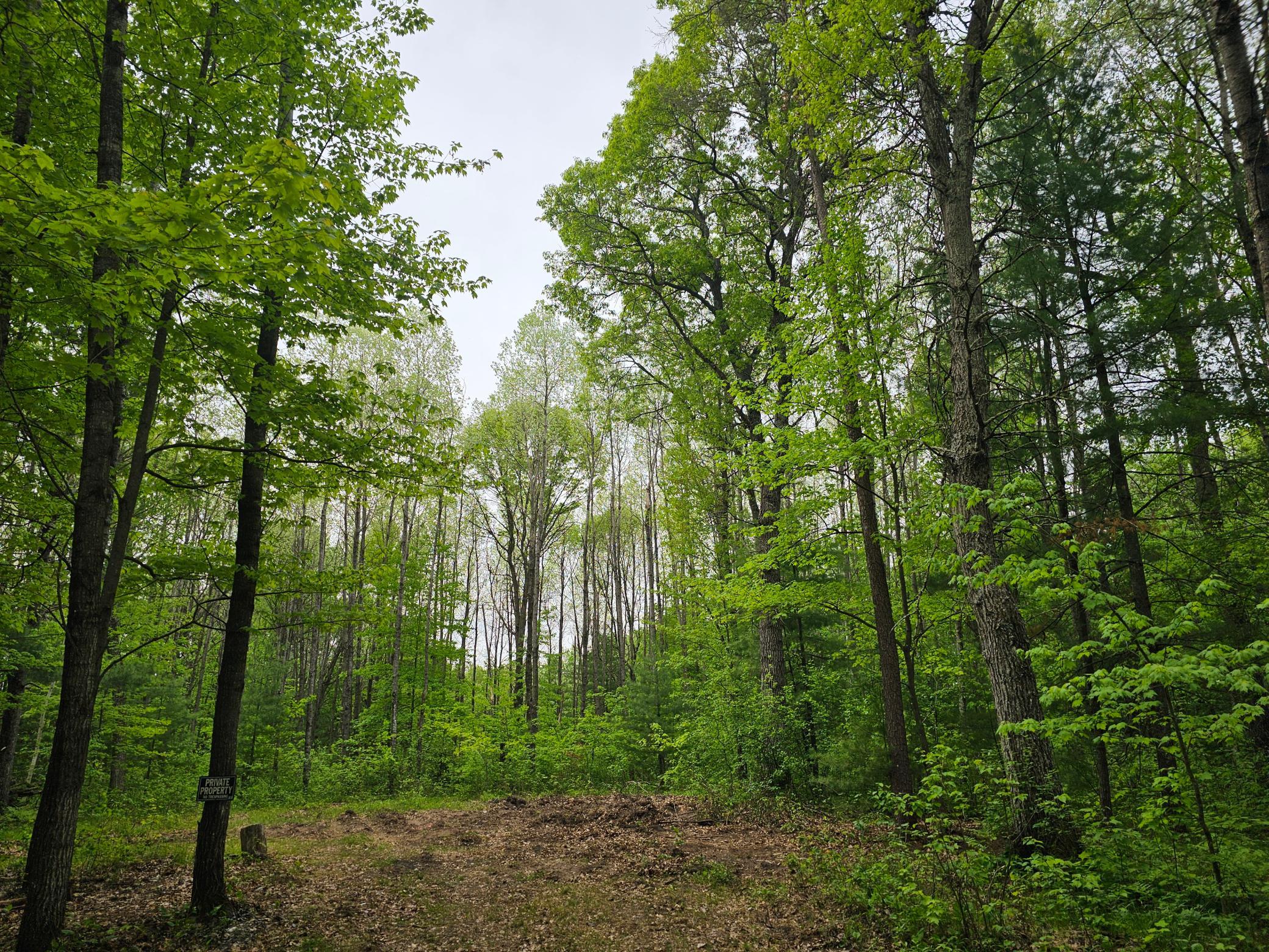 25227 Kruger Road Property Photo 11