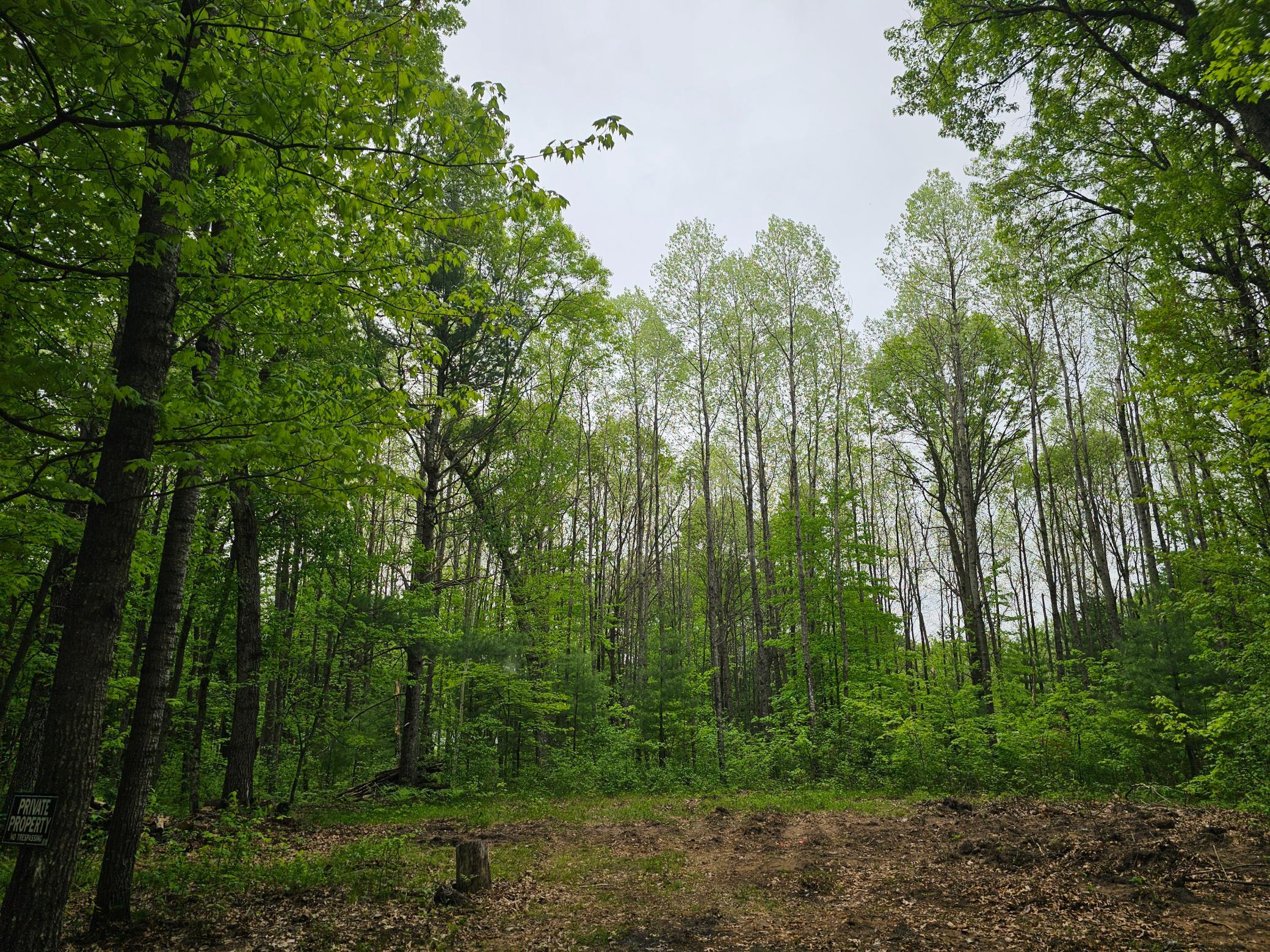 25227 Kruger Road Property Photo 12