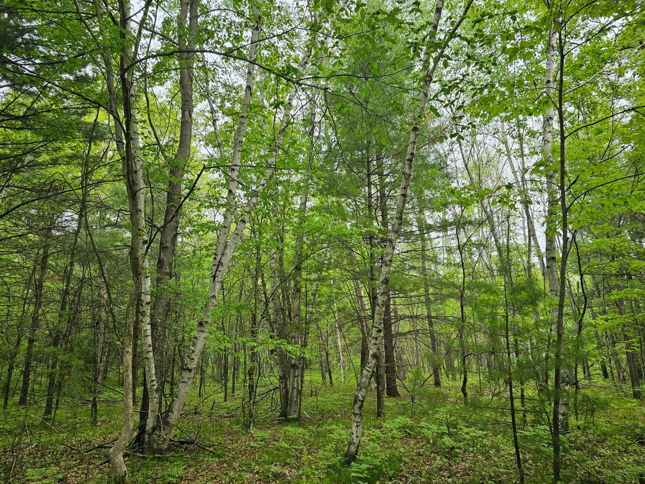 25227 Kruger Road Property Photo 13