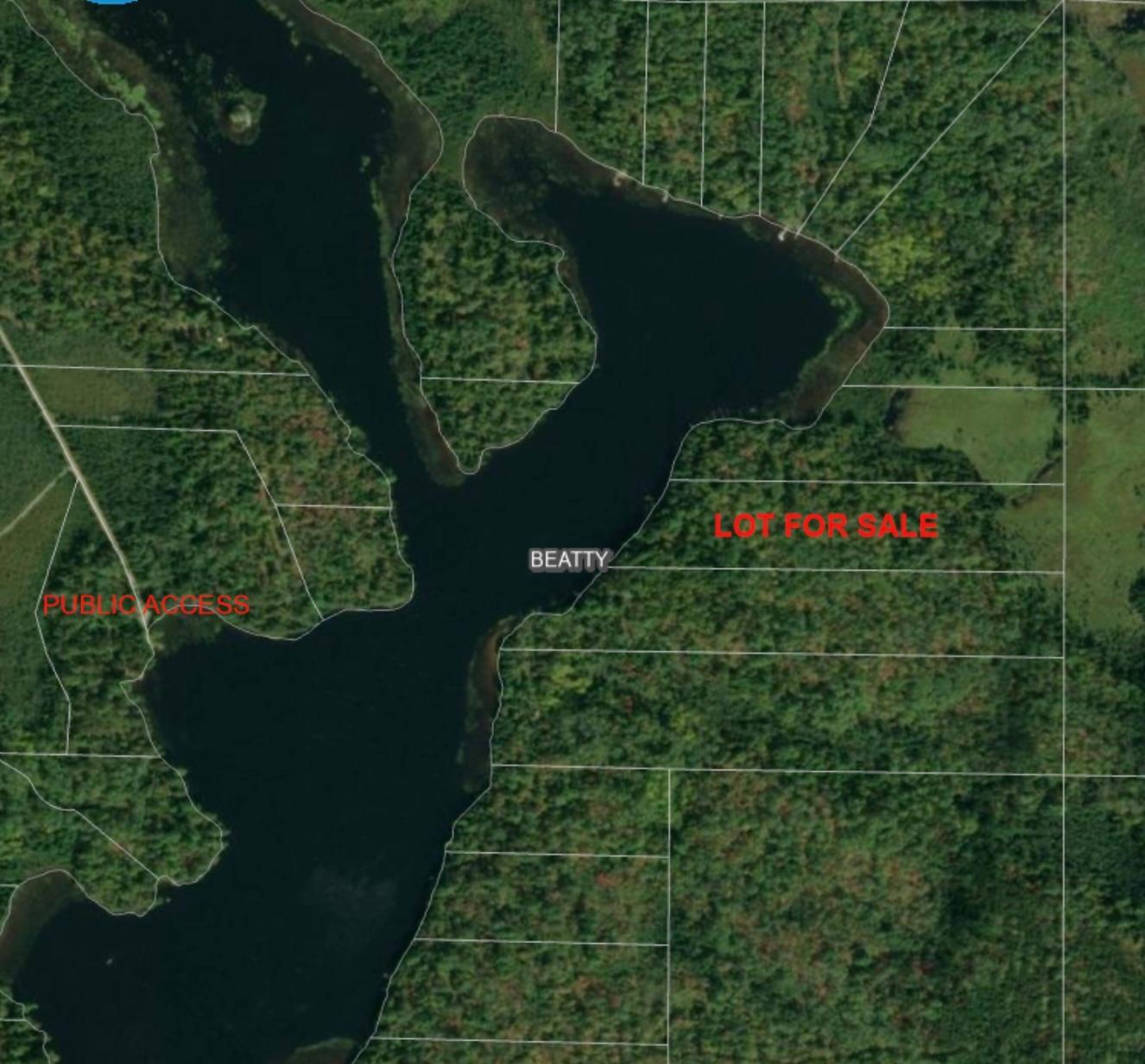Tbd North Arm Elbow Lake E Property Photo 1