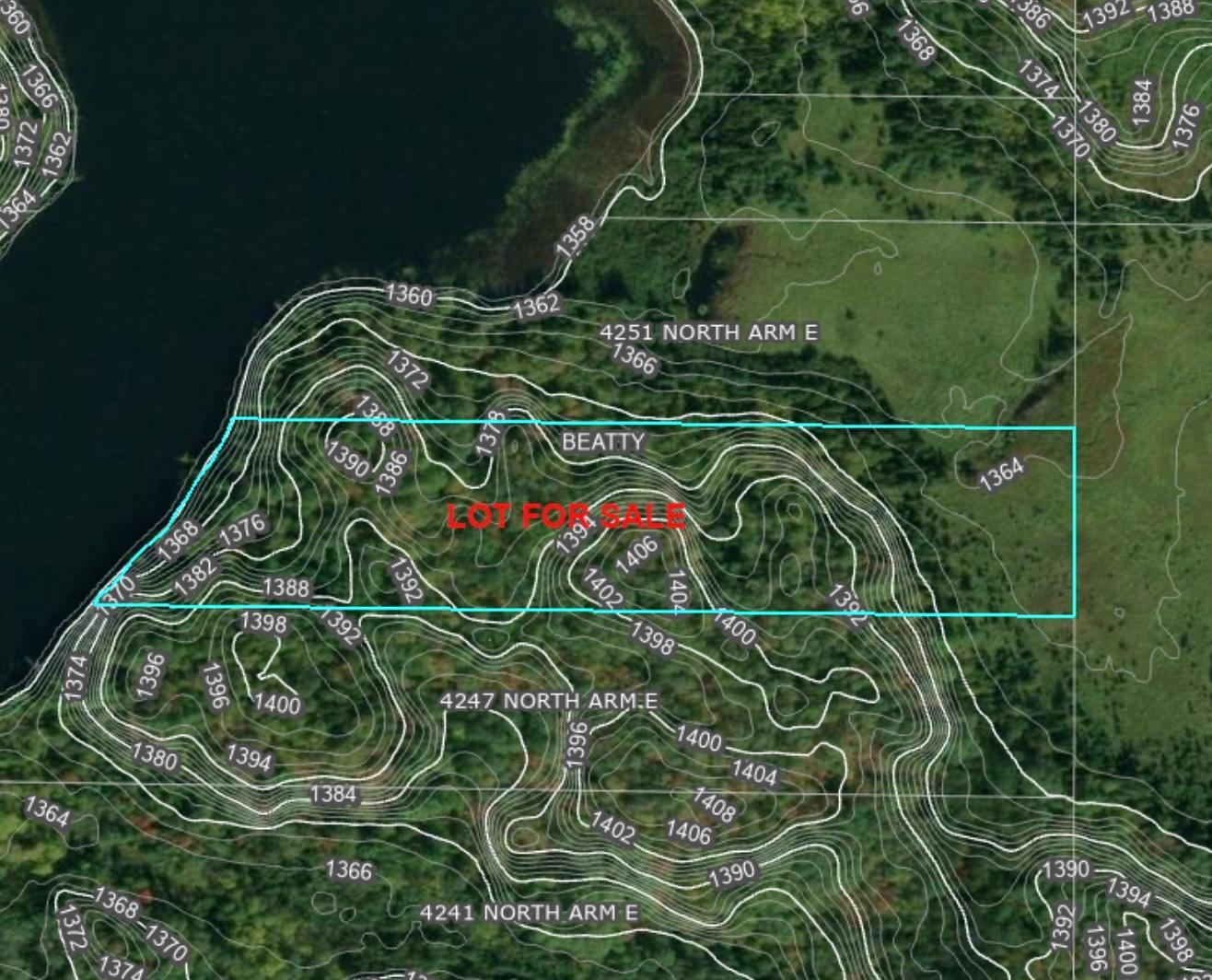 Tbd North Arm Elbow Lake E Property Photo 2