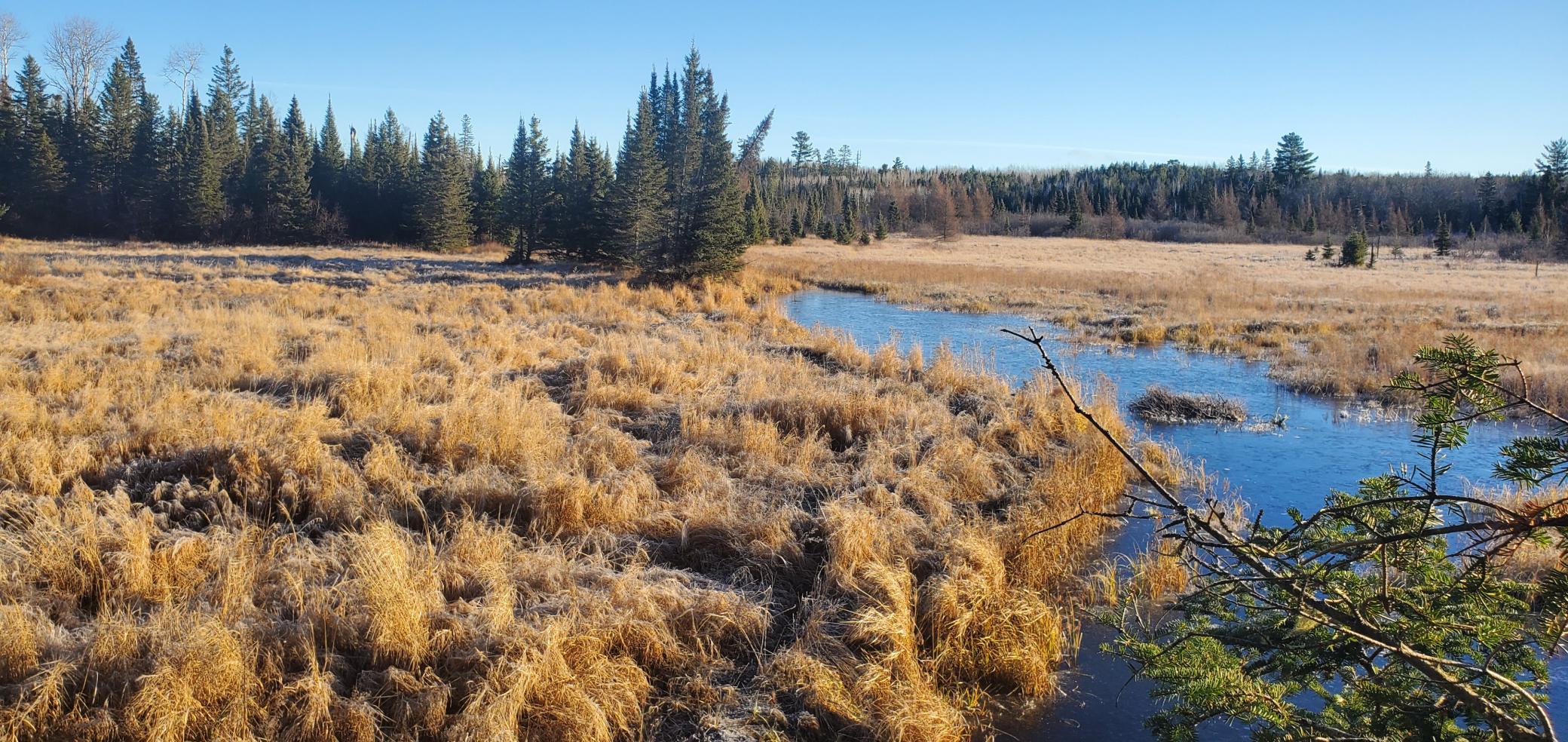 Tbd North Arm Elbow Lake E Property Photo 6