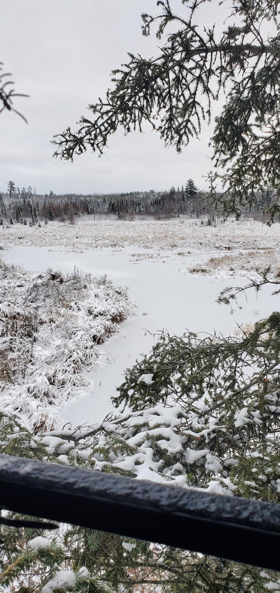 Tbd North Arm Elbow Lake E Property Photo 7