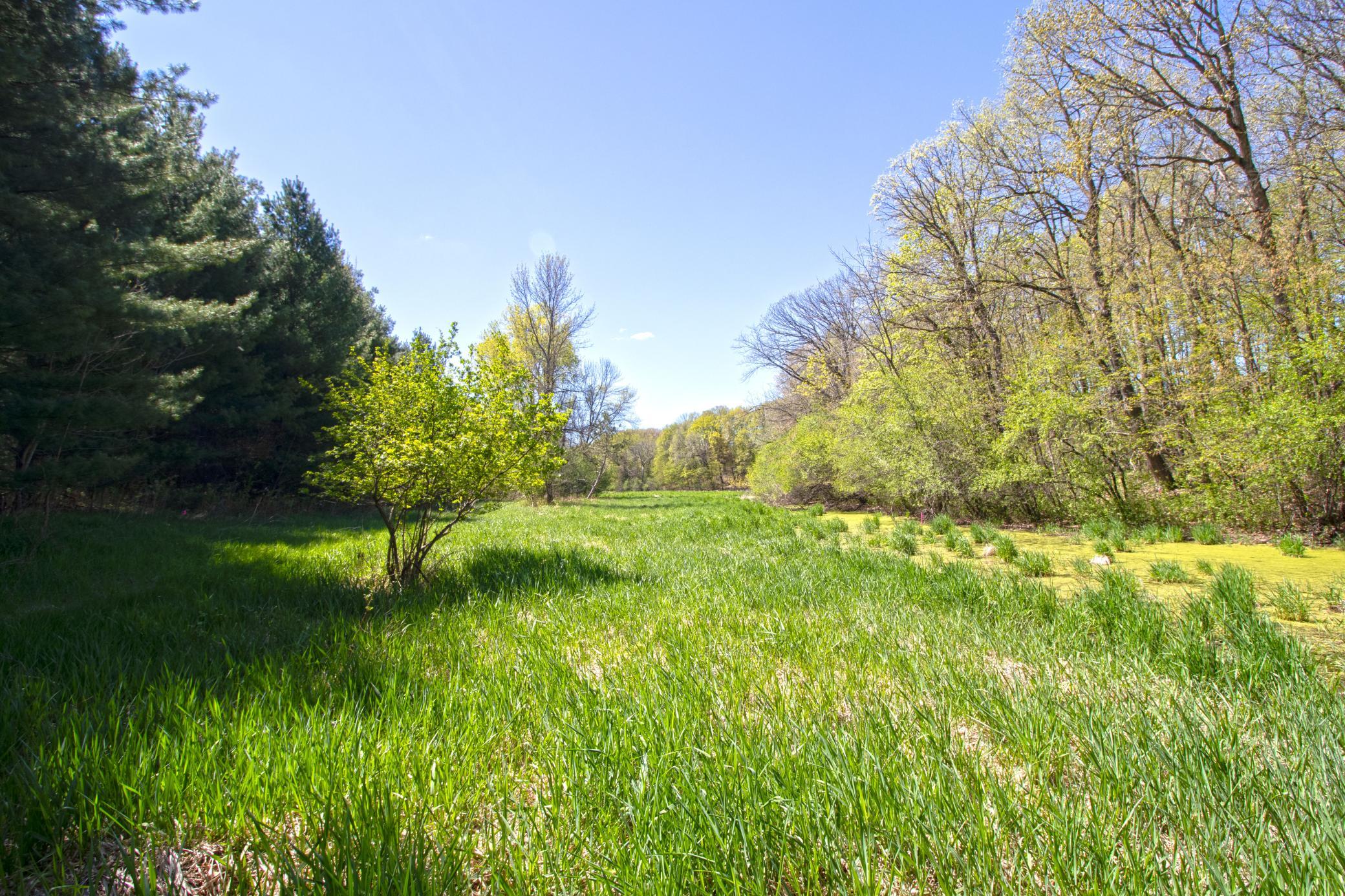 Tbd Nueman Trail Property Photo 6