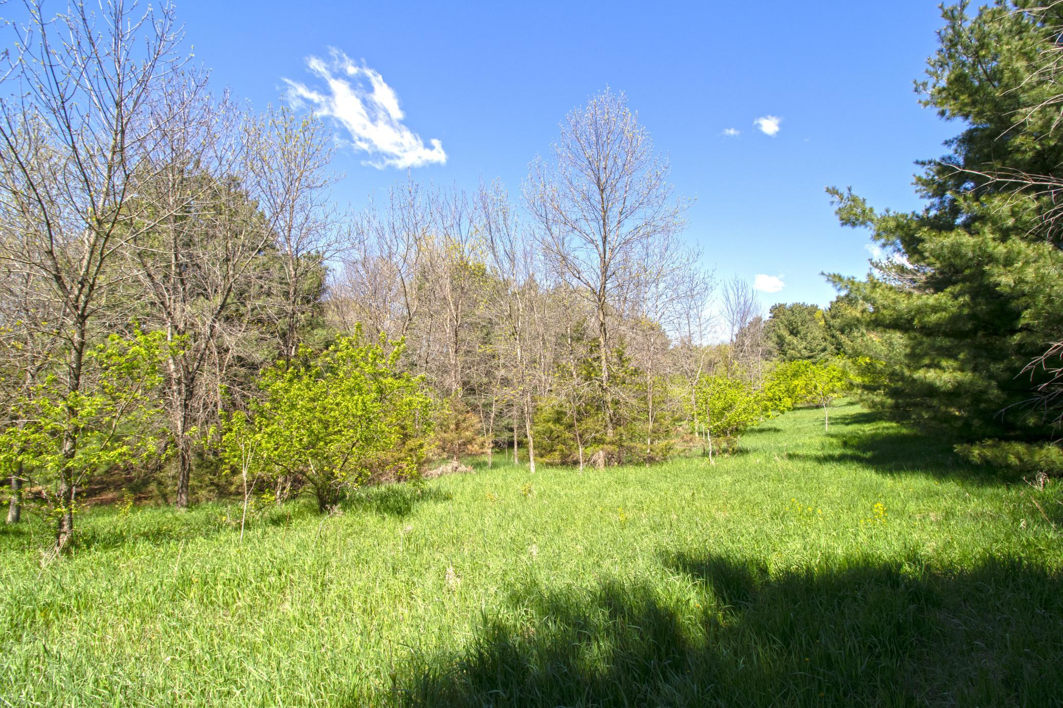Tbd Nueman Trail Property Photo 7