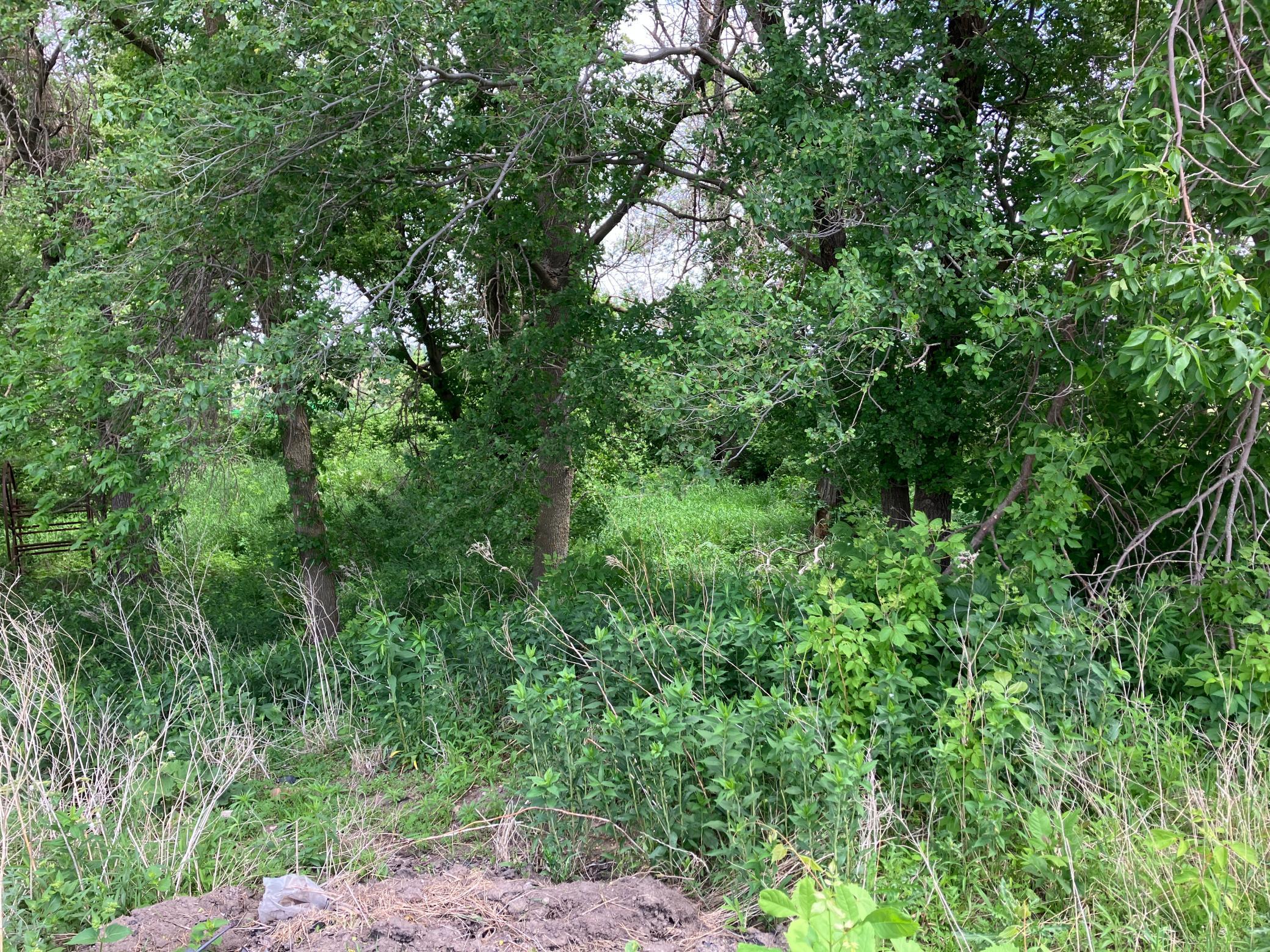 3598 W Highway 30 Property Photo 10