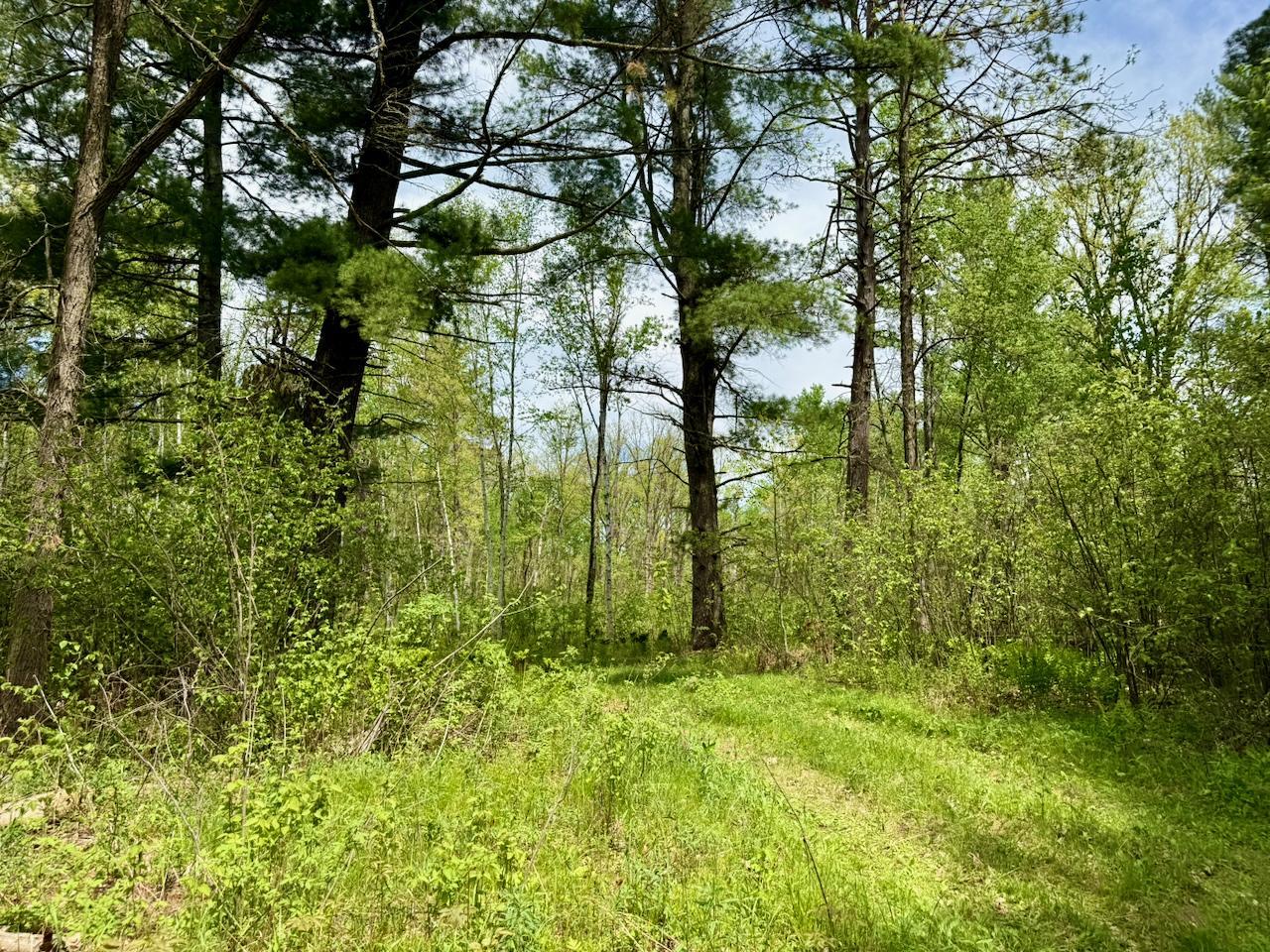Xyz County Road 39 Property Photo 1