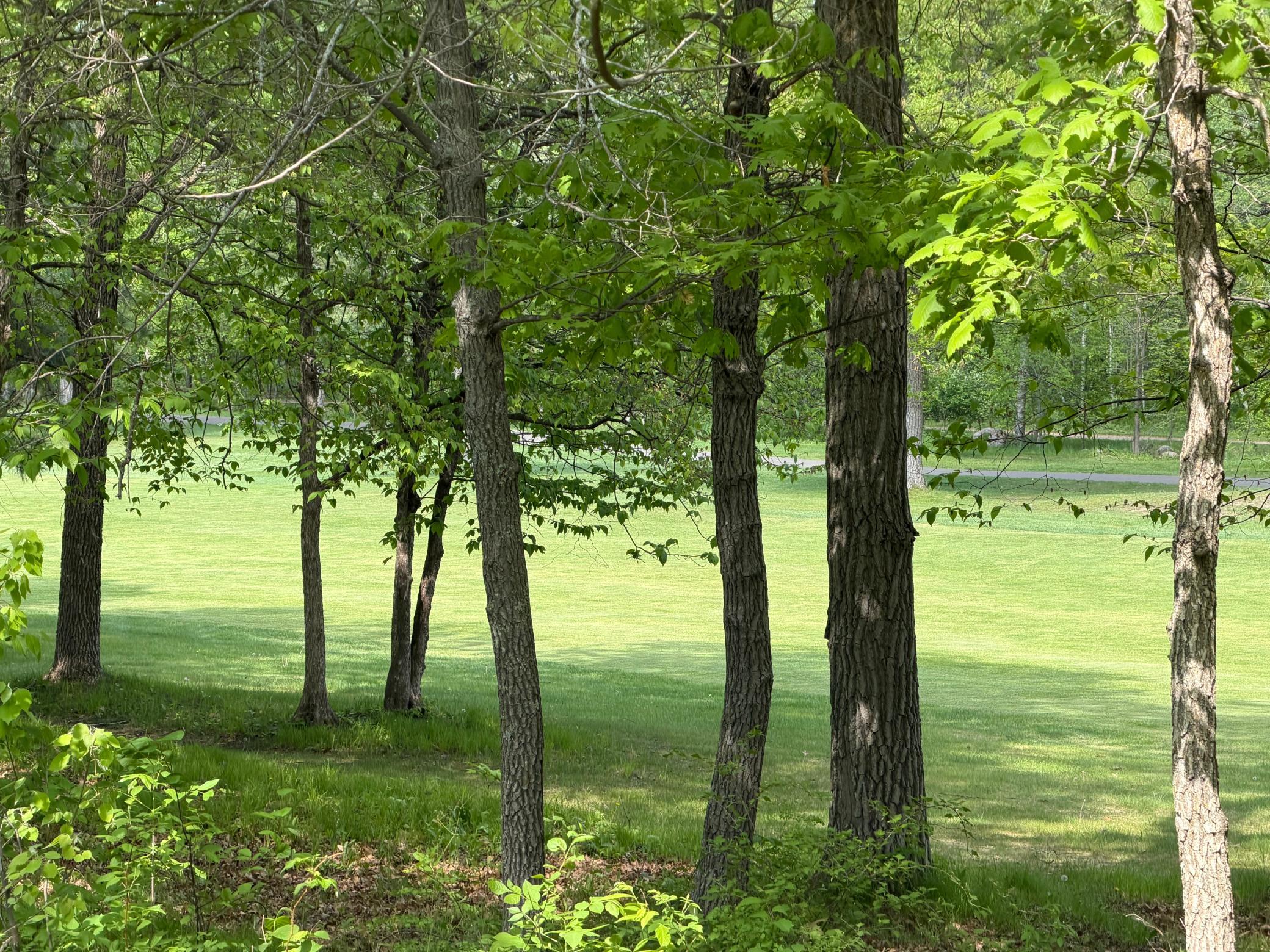 Tb County Road 16 Property Photo 1