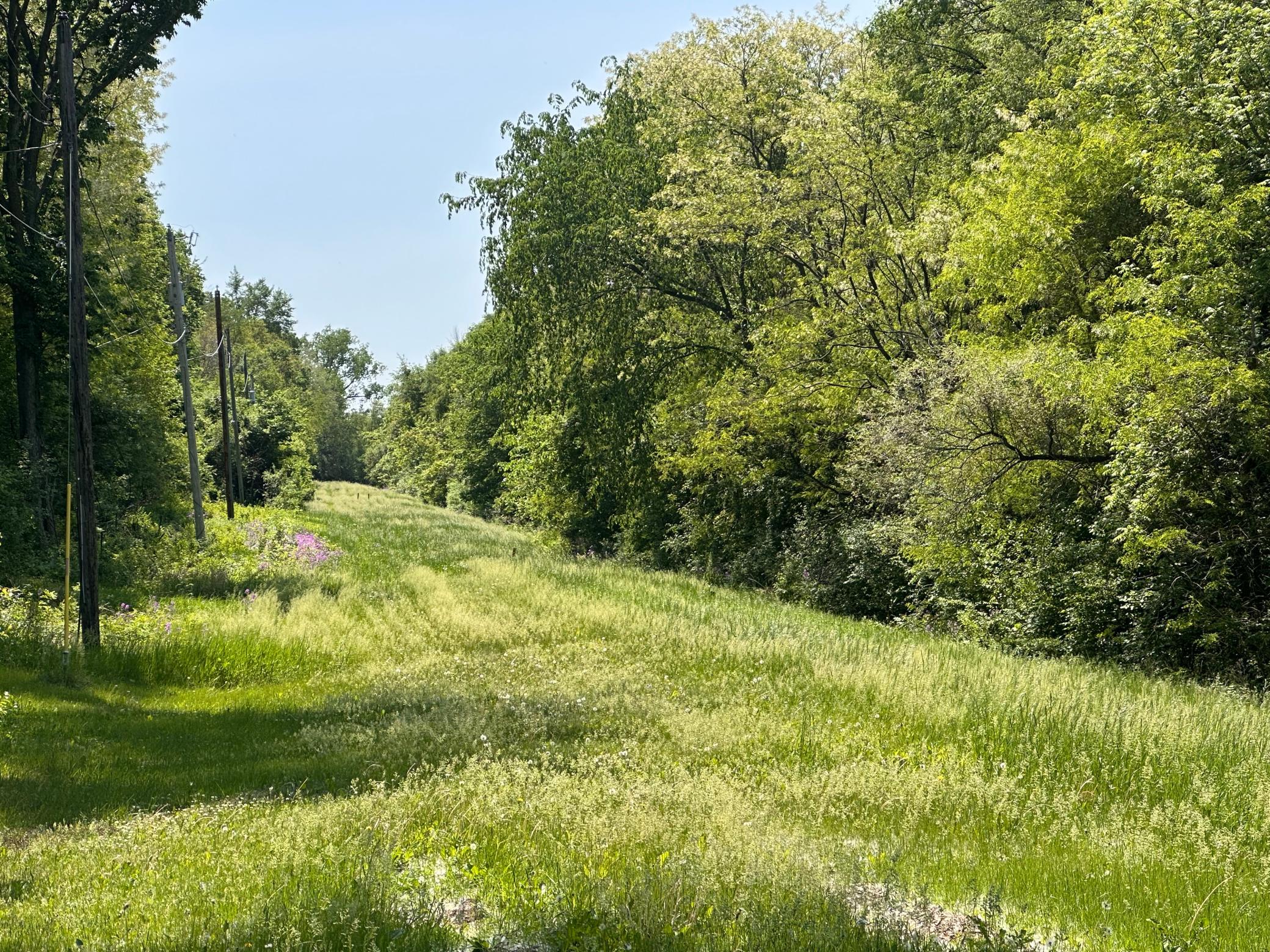 Tbd Pullman Avenue Property Photo 1