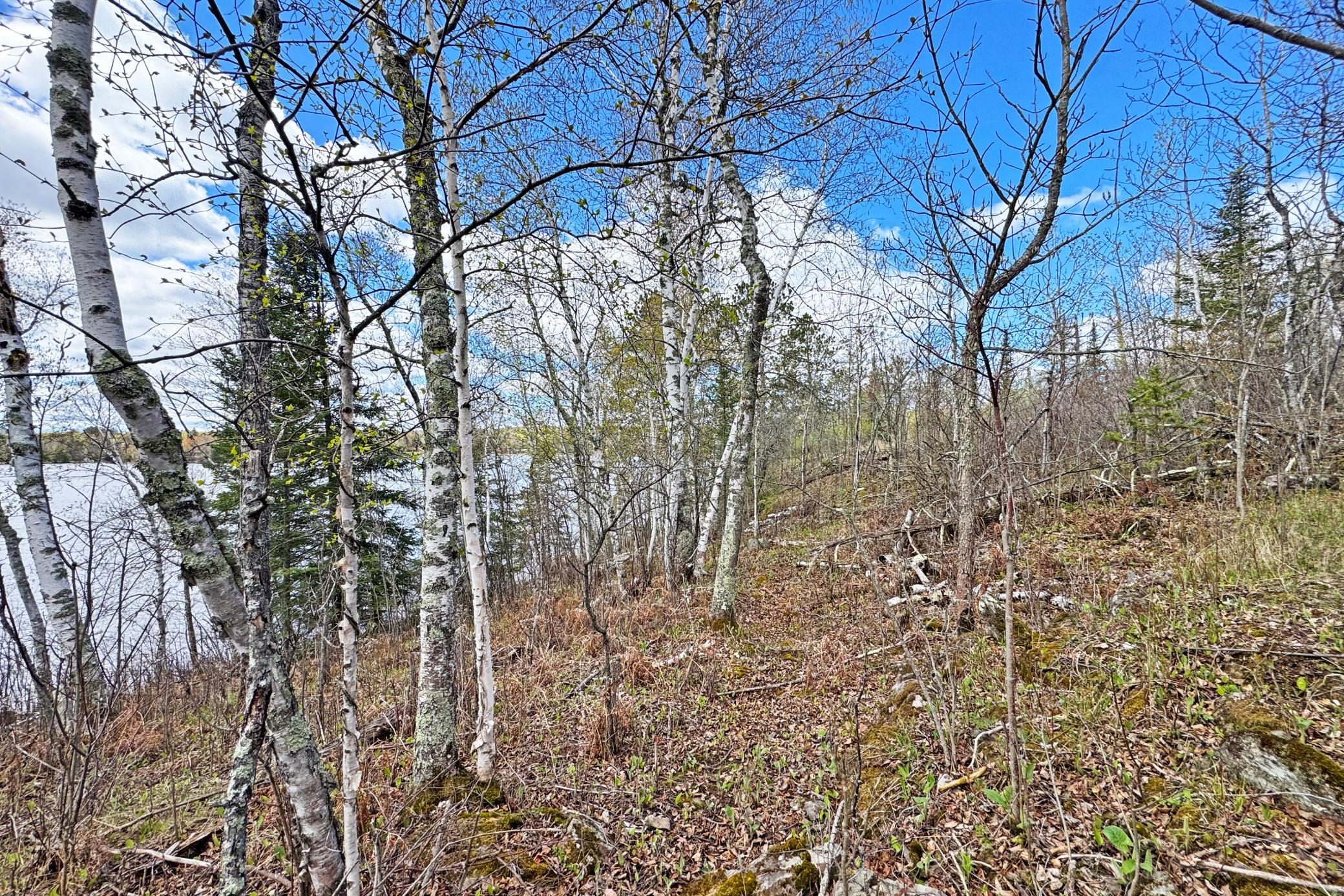 0000 County Highway 77 Property Photo 30