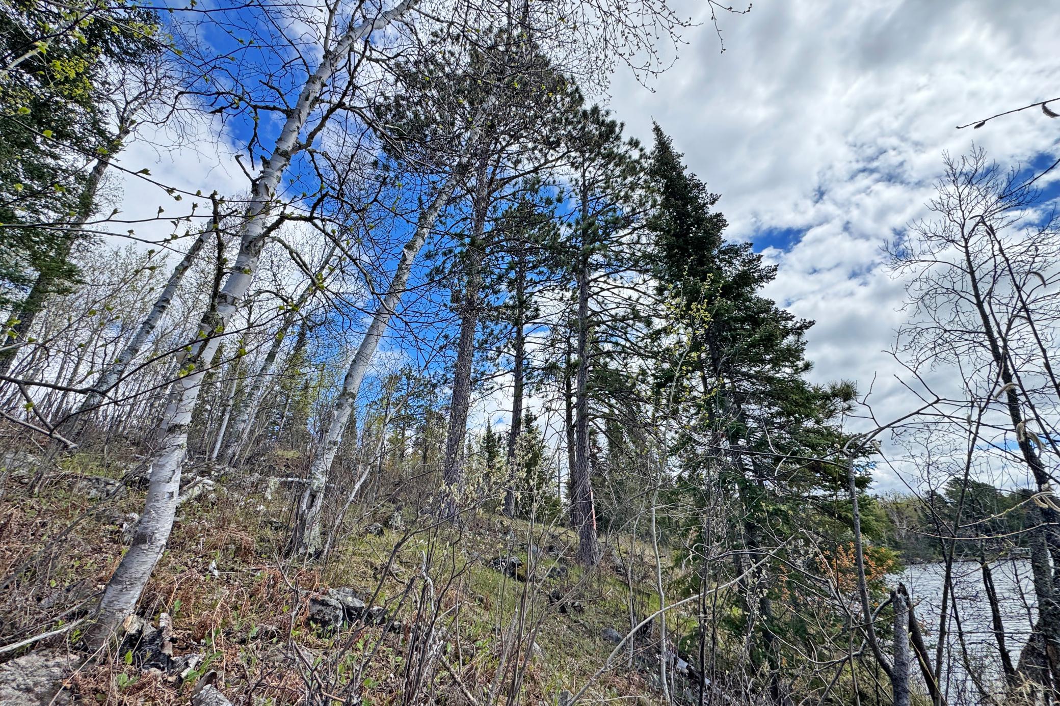 0000 County Highway 77 Property Photo 36