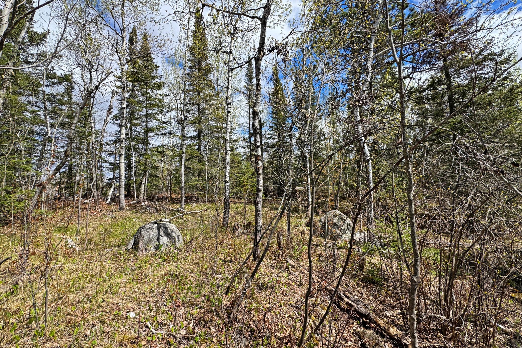 0000 County Highway 77 Property Photo 43