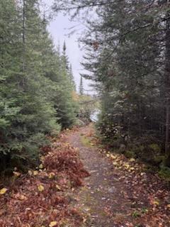 8016 Gunflint Trail Property Photo 18