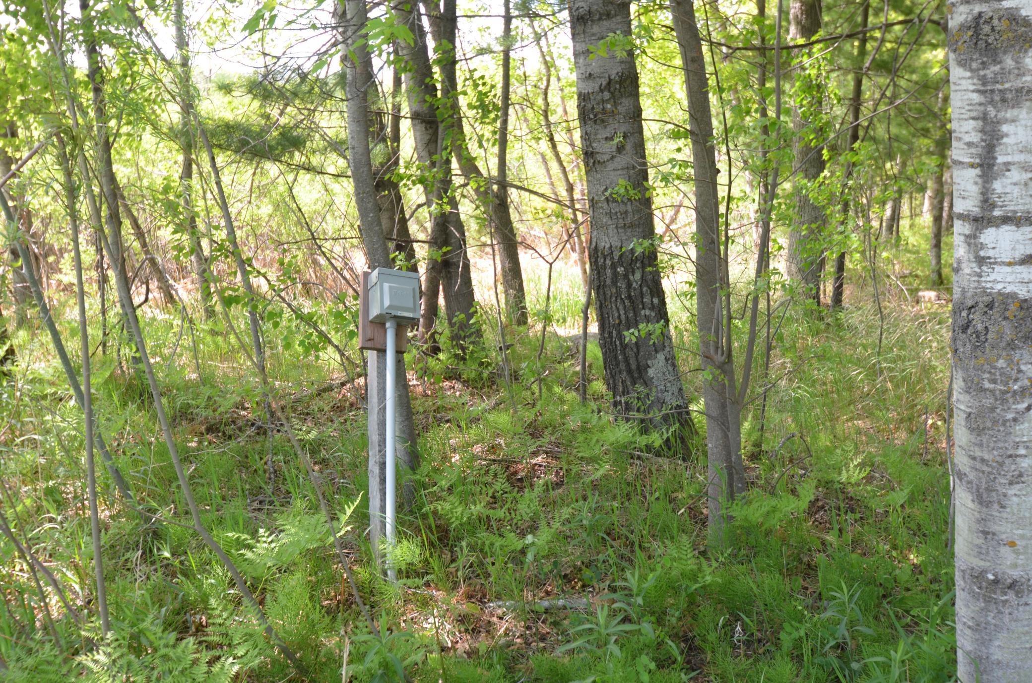 33595 300th Place Property Photo 18