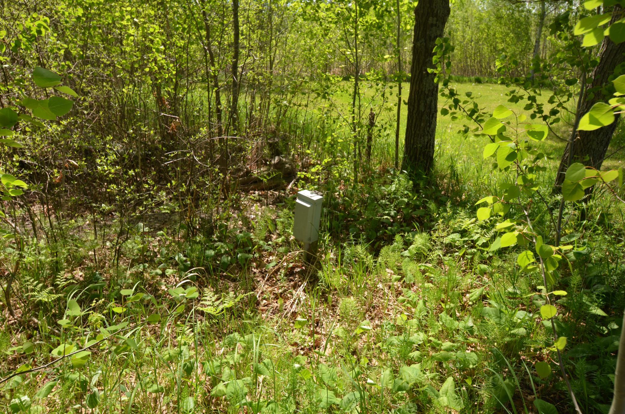 33595 300th Place Property Photo 21
