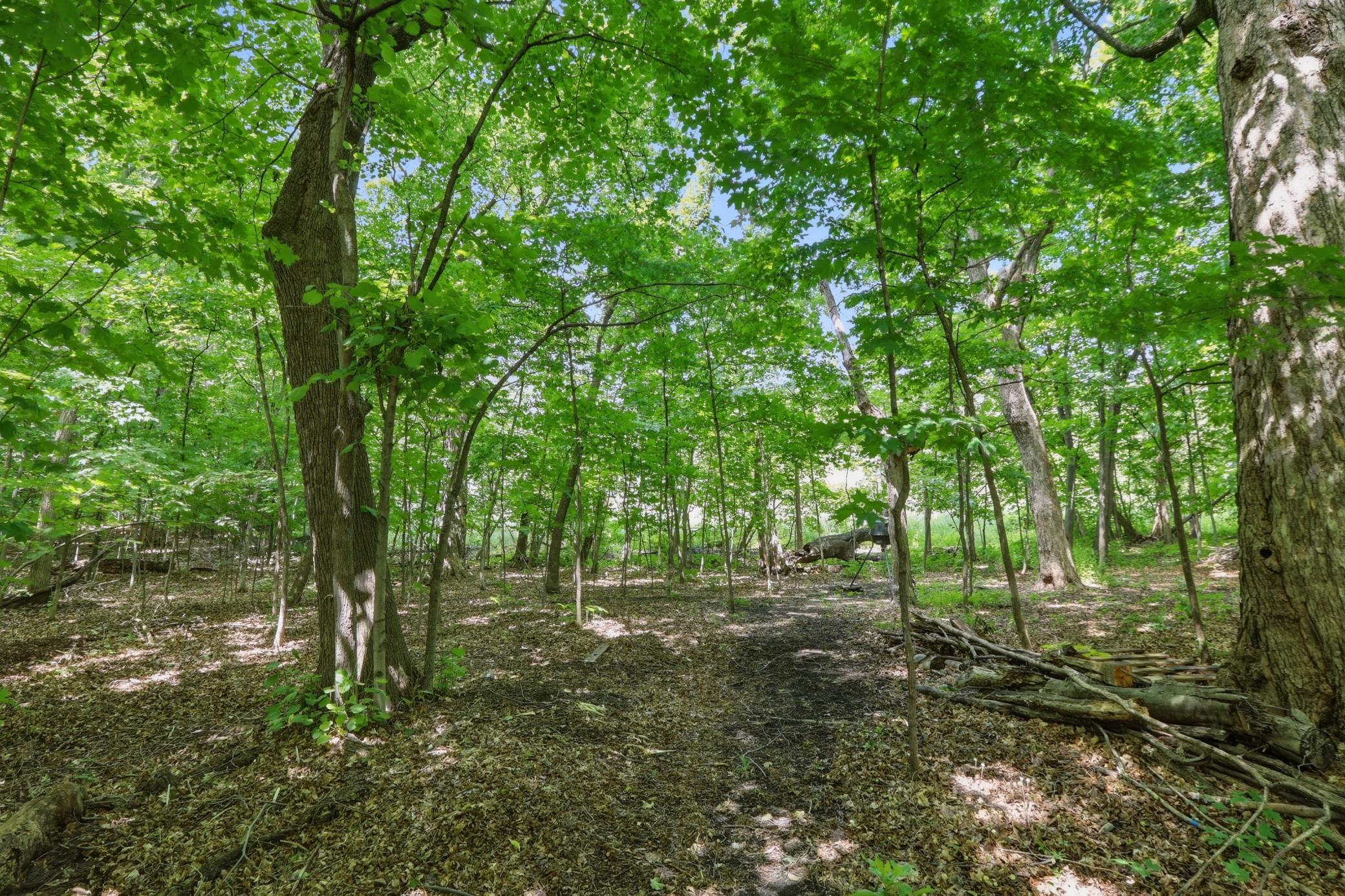 9142 Woodland Drive Property Photo 49