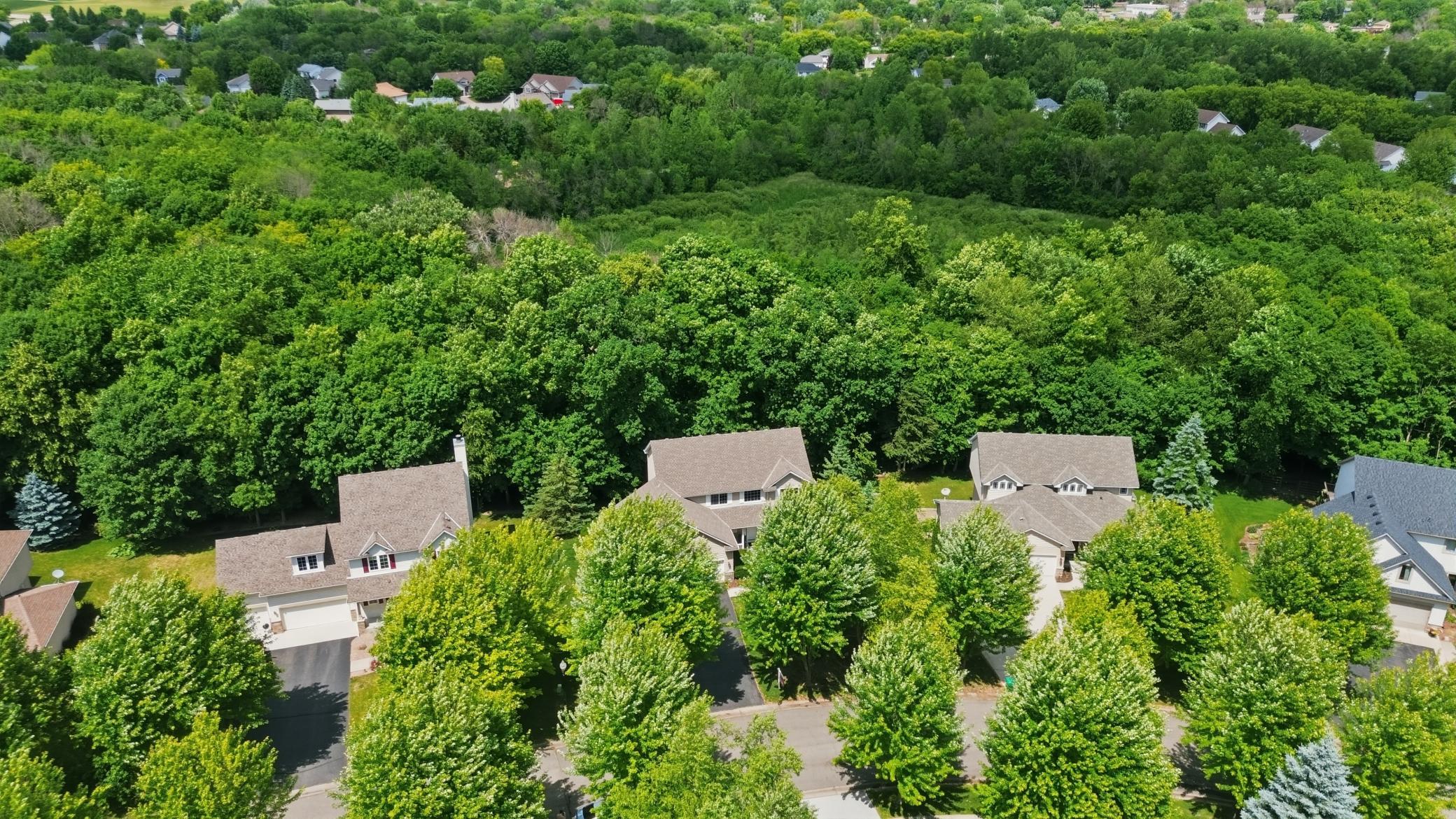 9142 Woodland Drive Property Photo 52