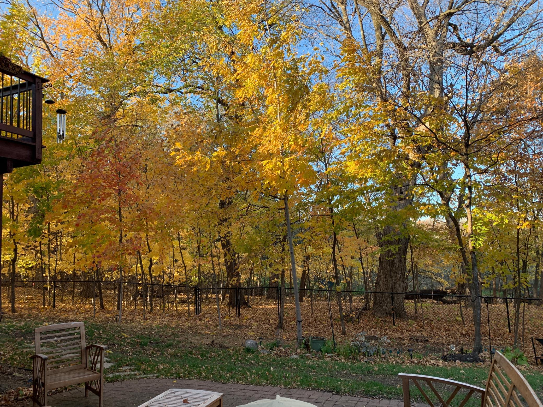 9142 Woodland Drive Property Photo 58