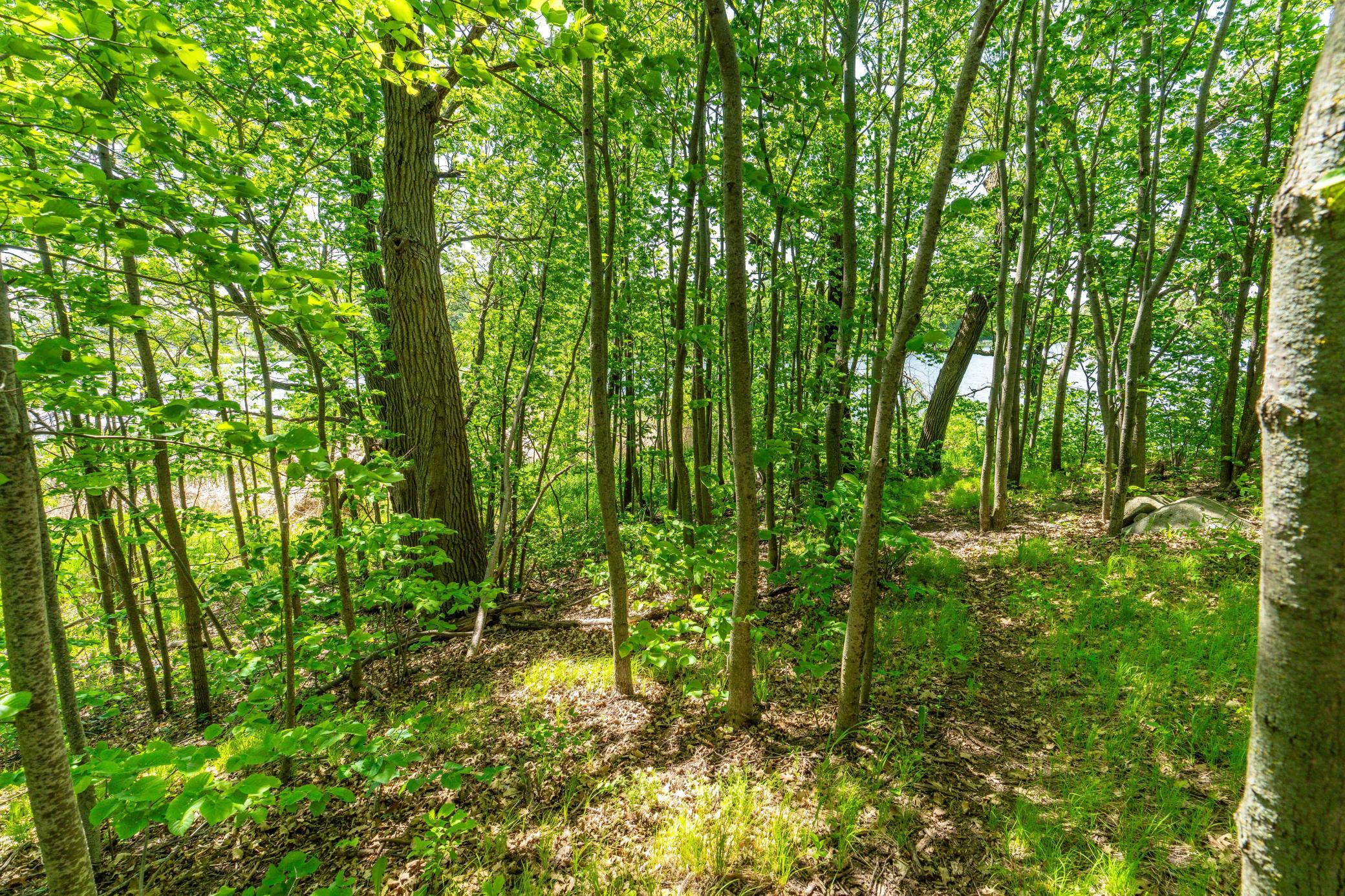 460th Ave Property Photo 18