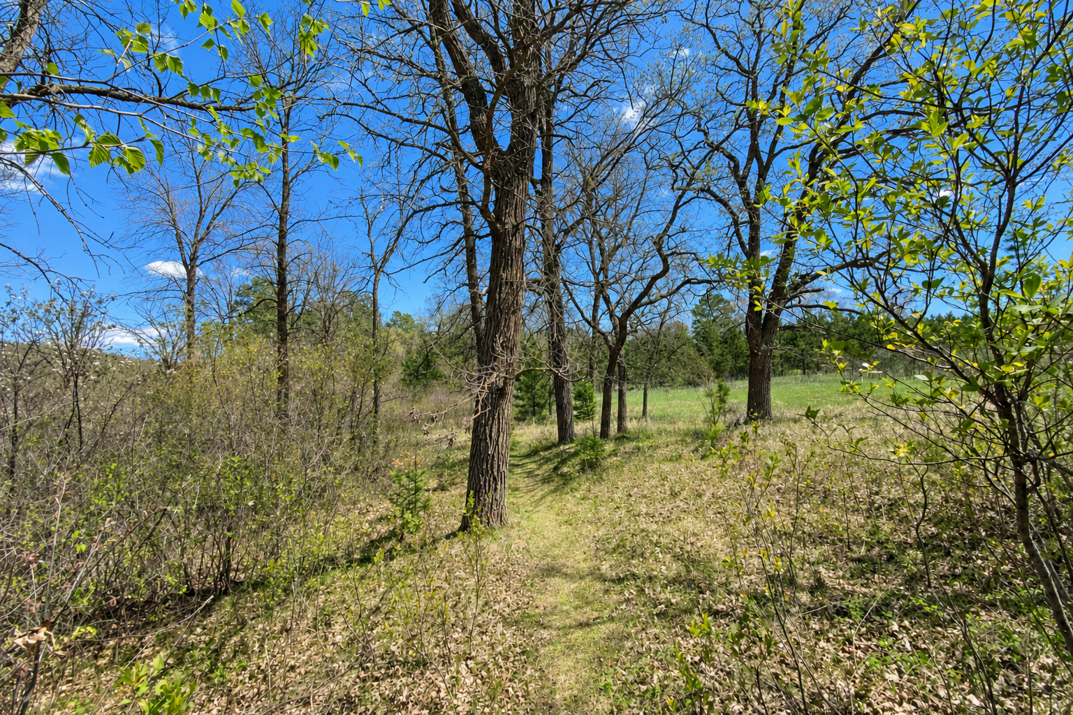 18280 County 11 Property Photo 14