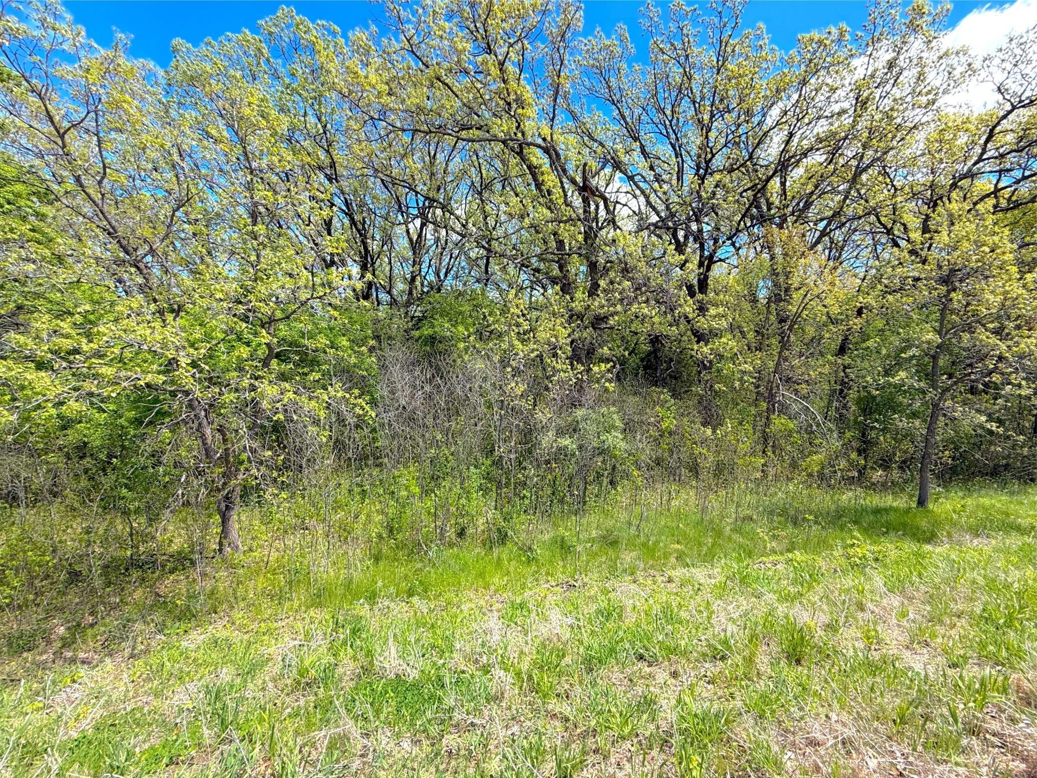 211xx County Road 75 Property Photo 7