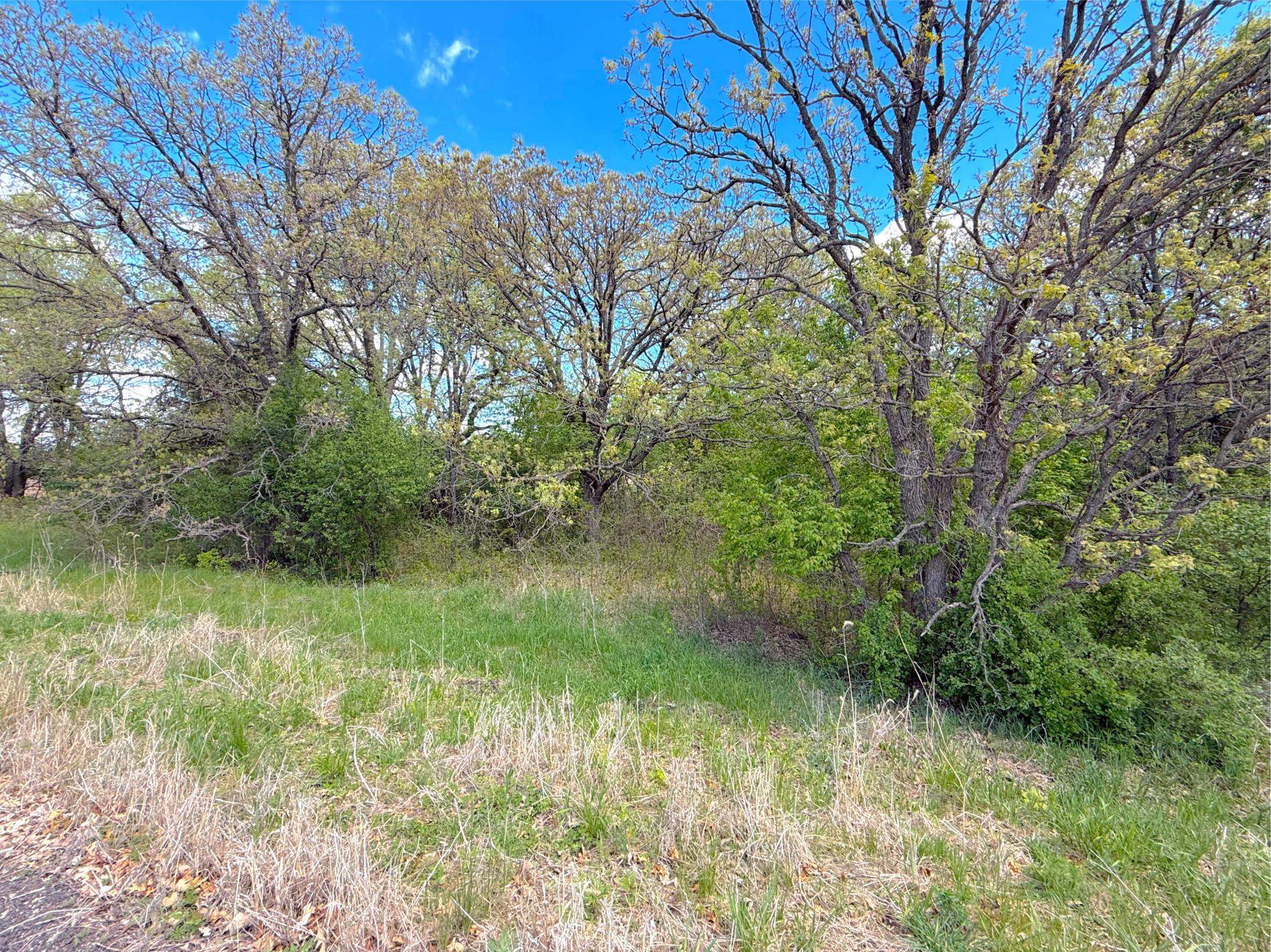 211xx County Road 75 Property Photo 12