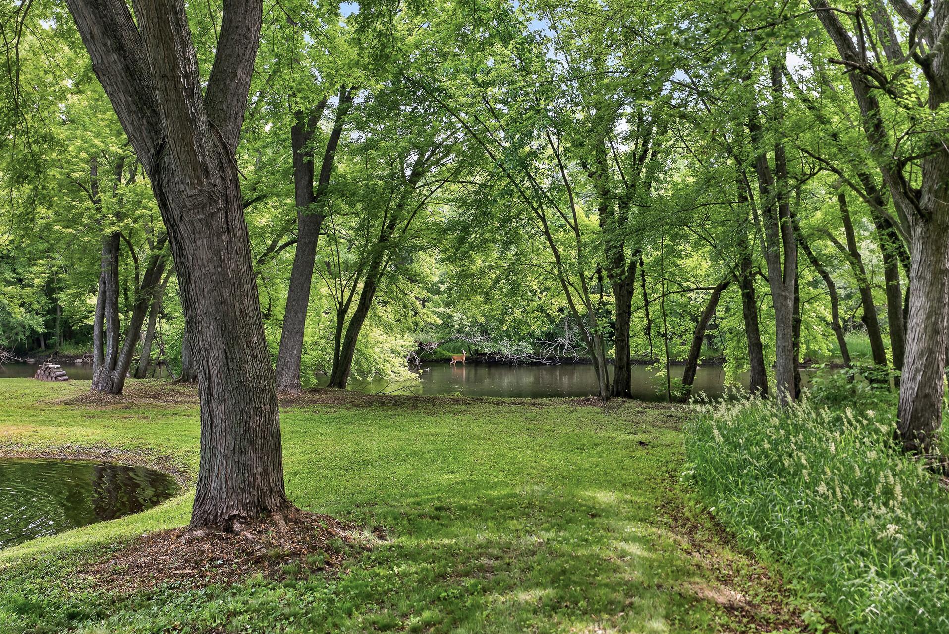 14933 River Street Se Property Photo 78