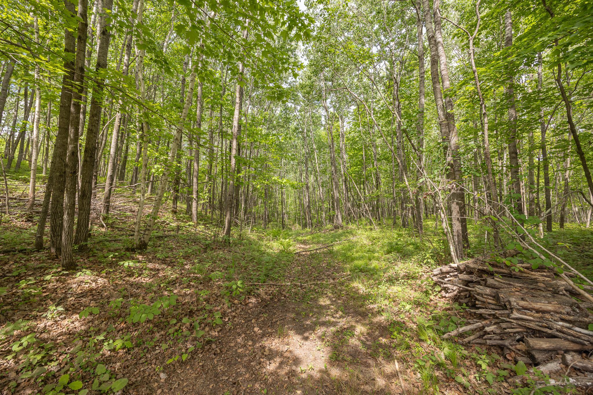 3677 County 54 Ne Property Photo 49