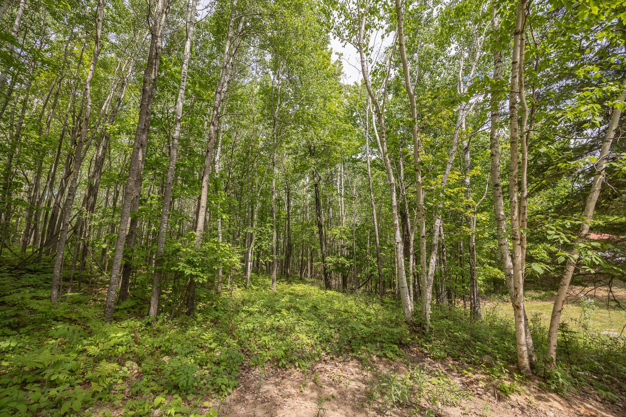 3677 County 54 Ne Property Photo 50
