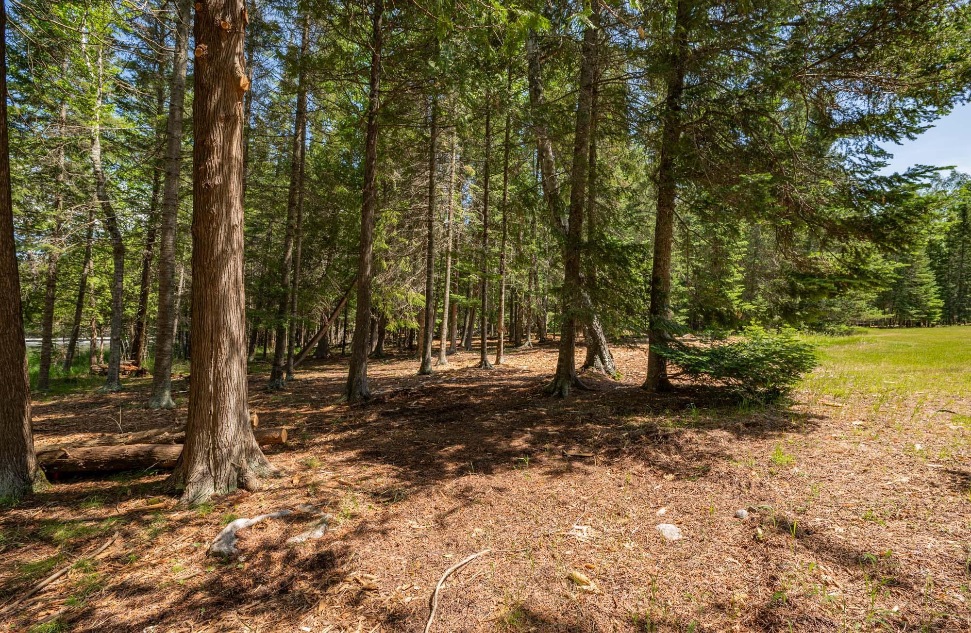 51301 Pine Point Road Property Photo 9