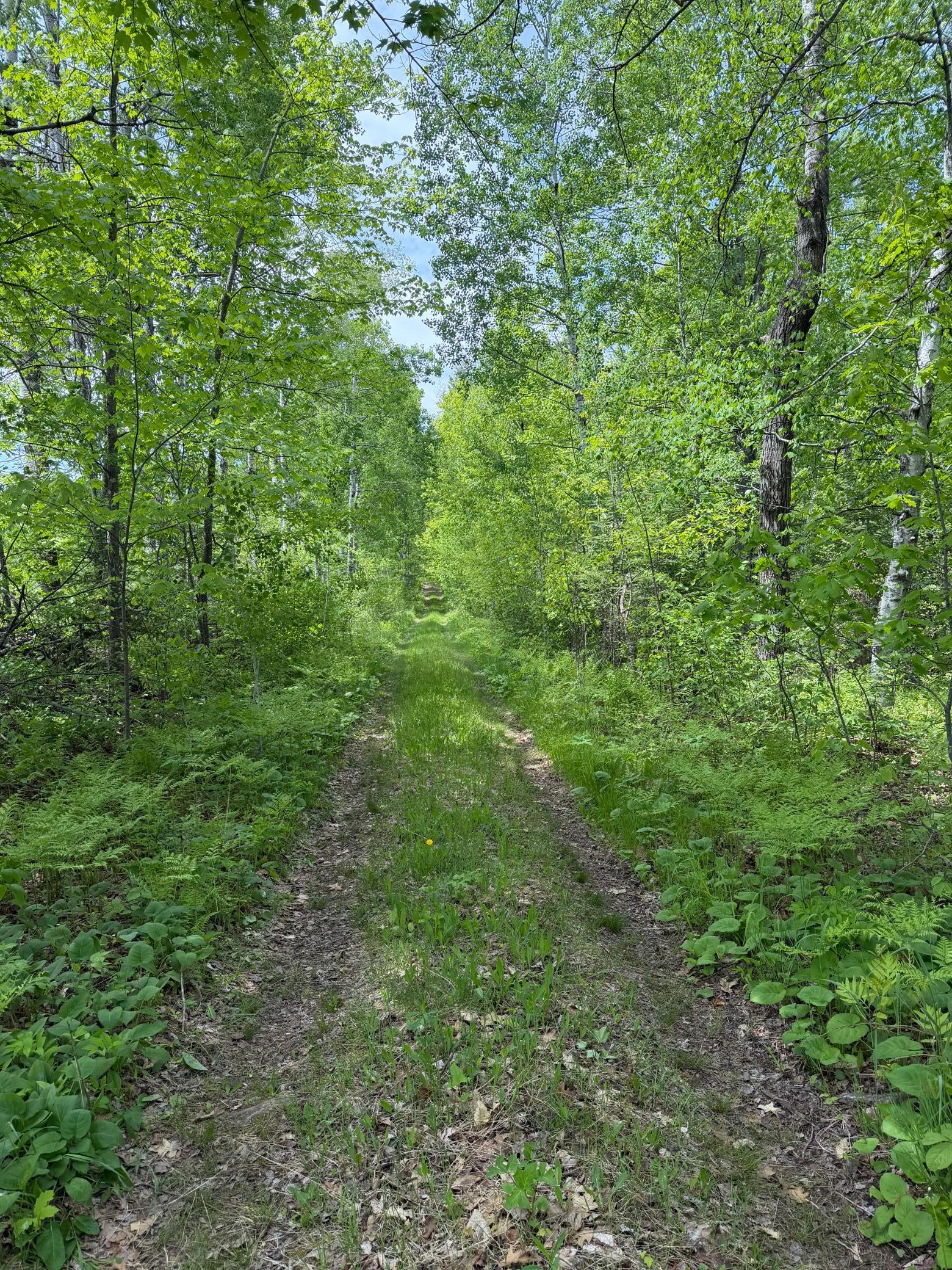 Tbd Range Line Rd Property Photo 1
