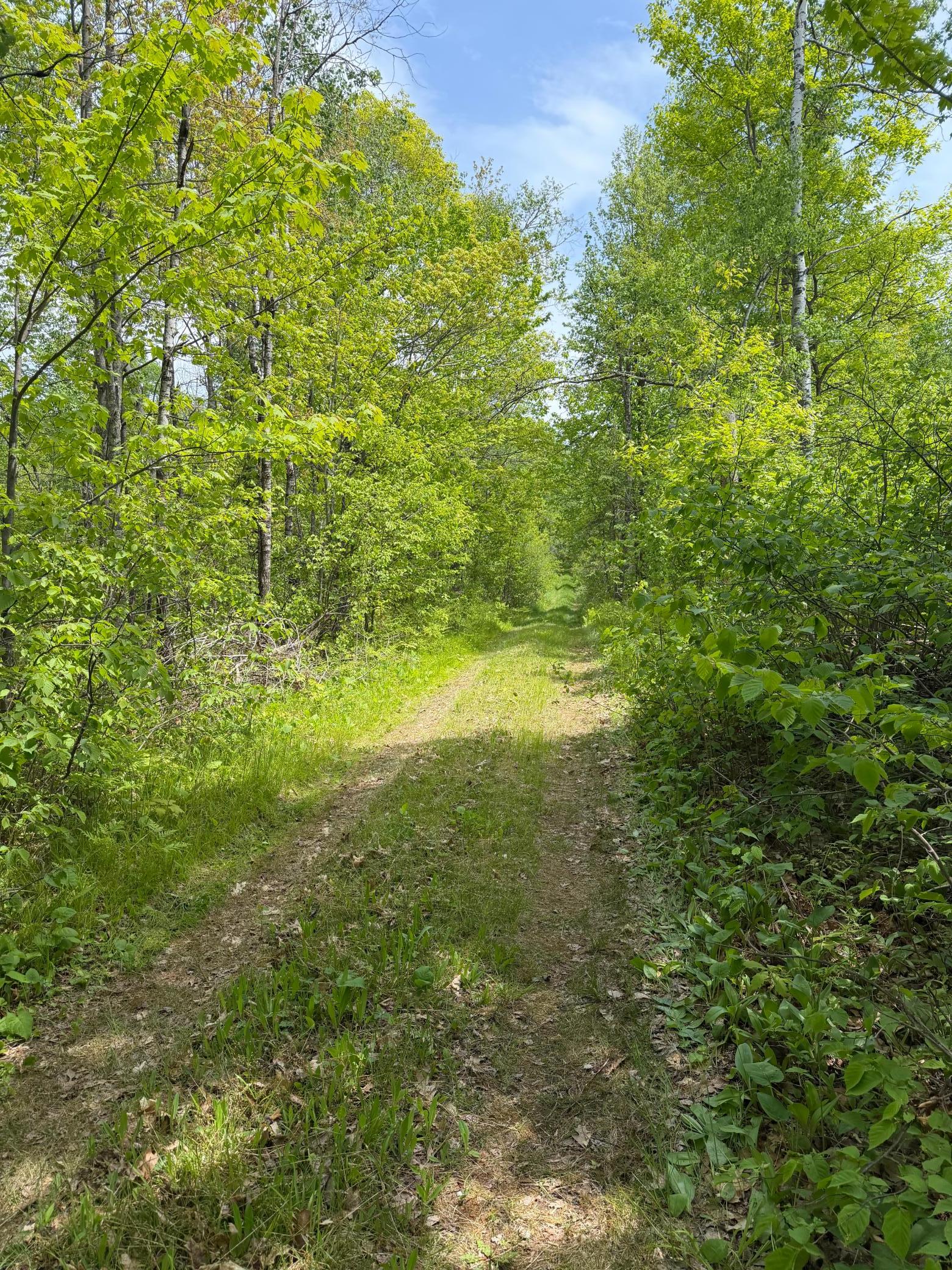 Tbd Range Line Rd Property Photo 2