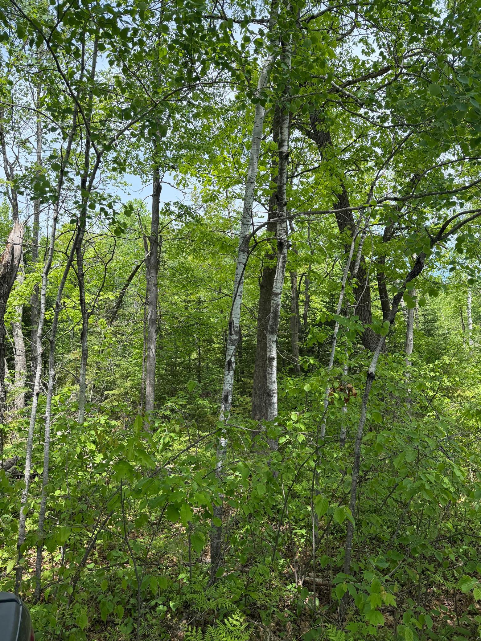 Tbd Range Line Rd Property Photo 3