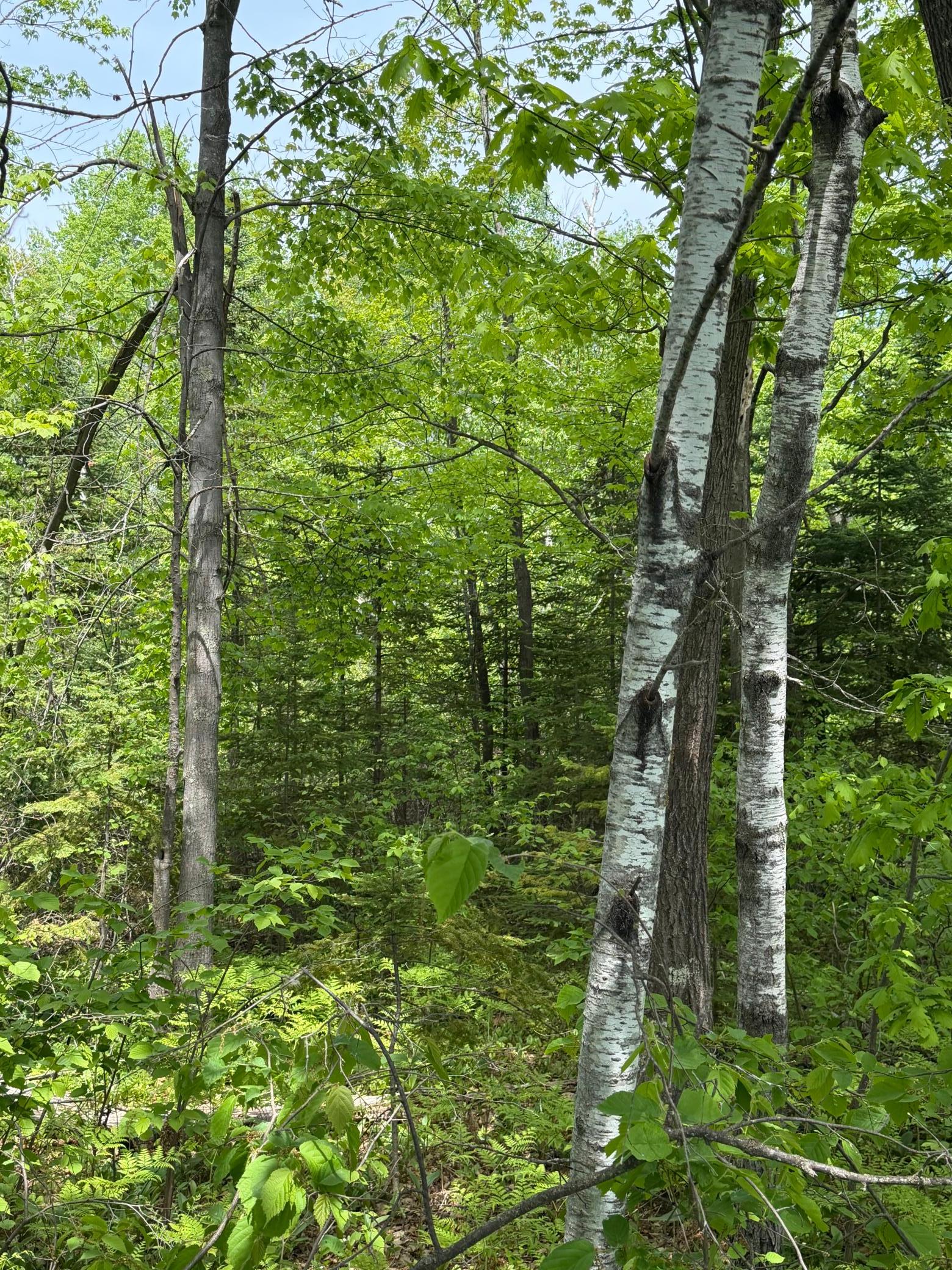 Tbd Range Line Rd Property Photo 4
