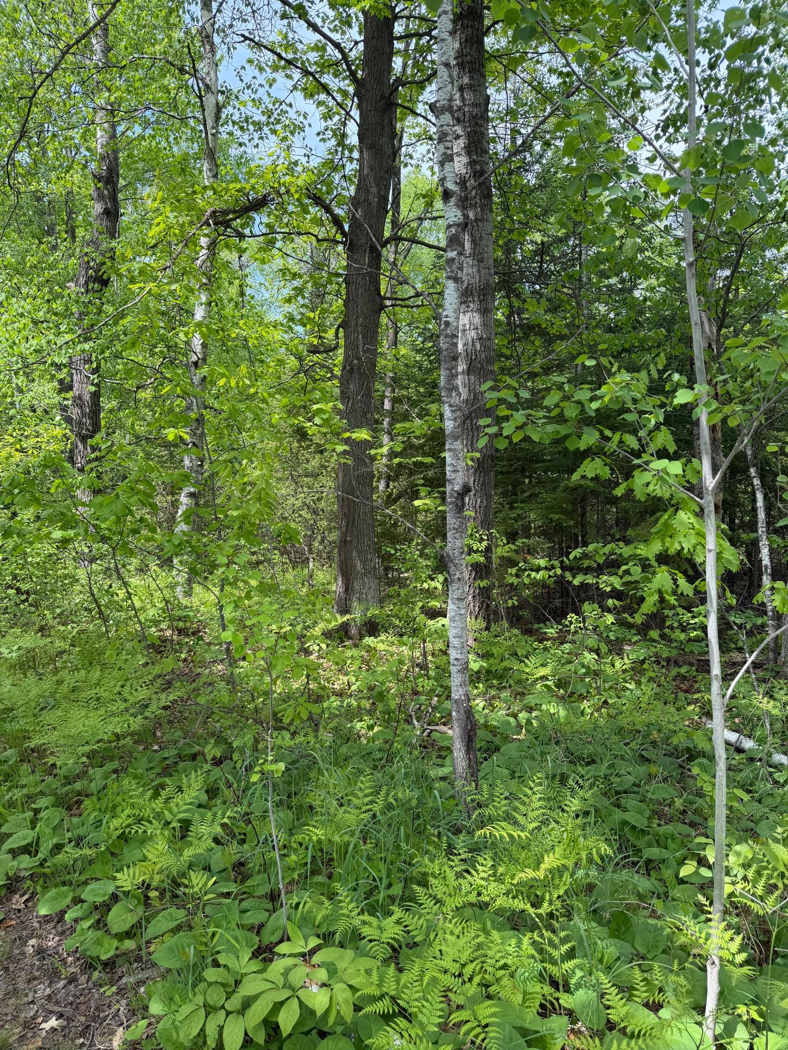 Tbd Range Line Rd Property Photo 5